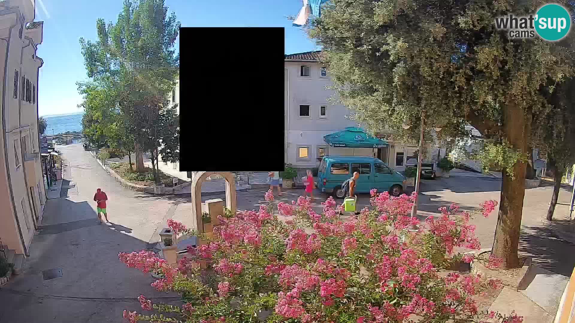 Webcam Centro Draga di Moschiena – Vista live sul centro