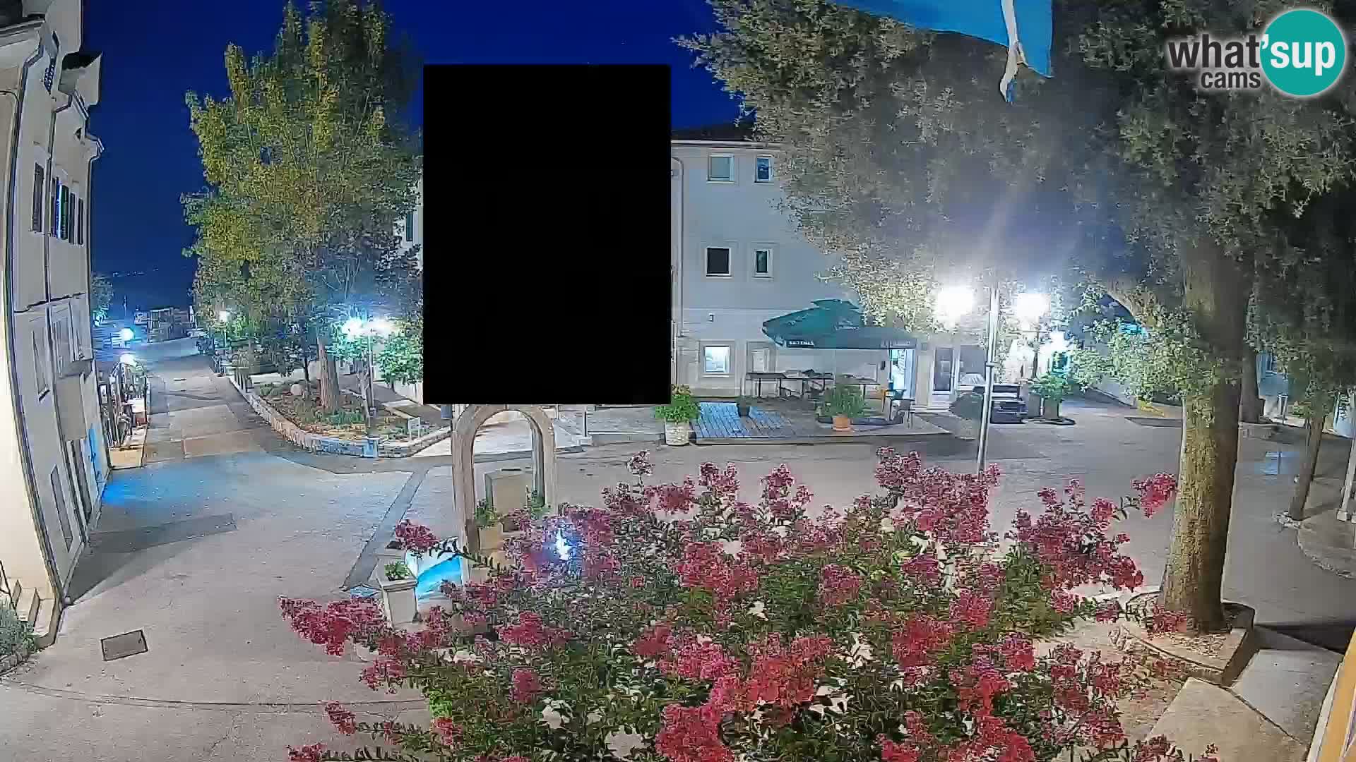 Webcam Centro Draga di Moschiena – Vista live sul centro