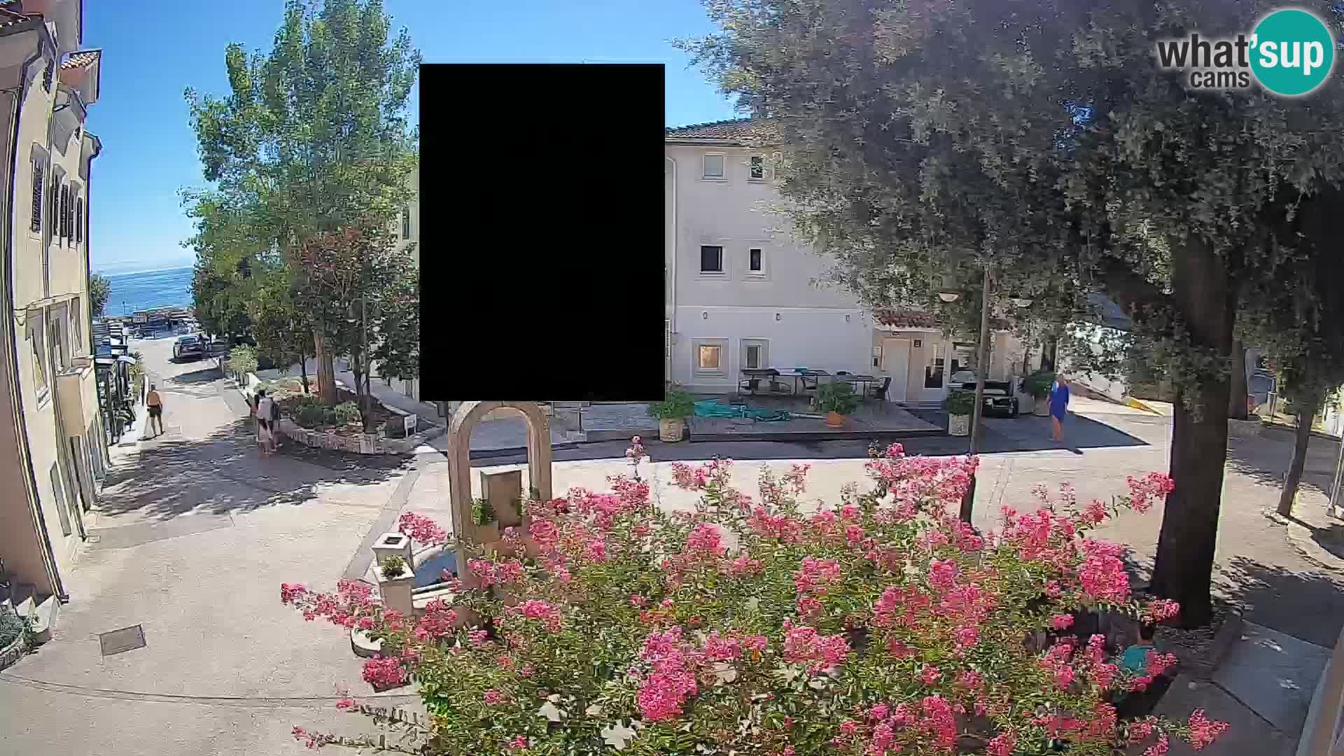 Webcam Centro Draga di Moschiena – Vista live sul centro