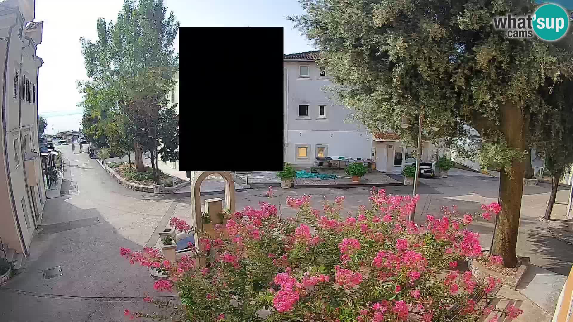 Webcam Centro Draga di Moschiena – Vista live sul centro