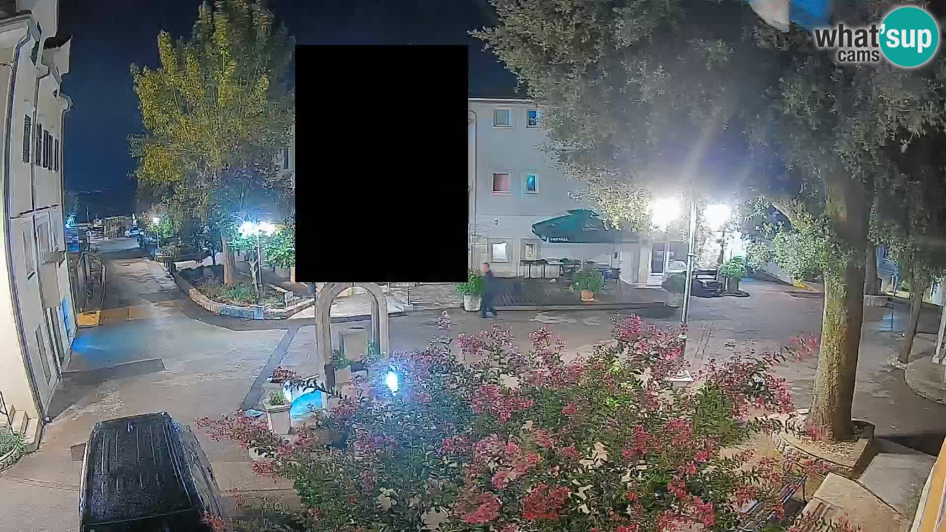 Webcam Centro Draga di Moschiena – Vista live sul centro