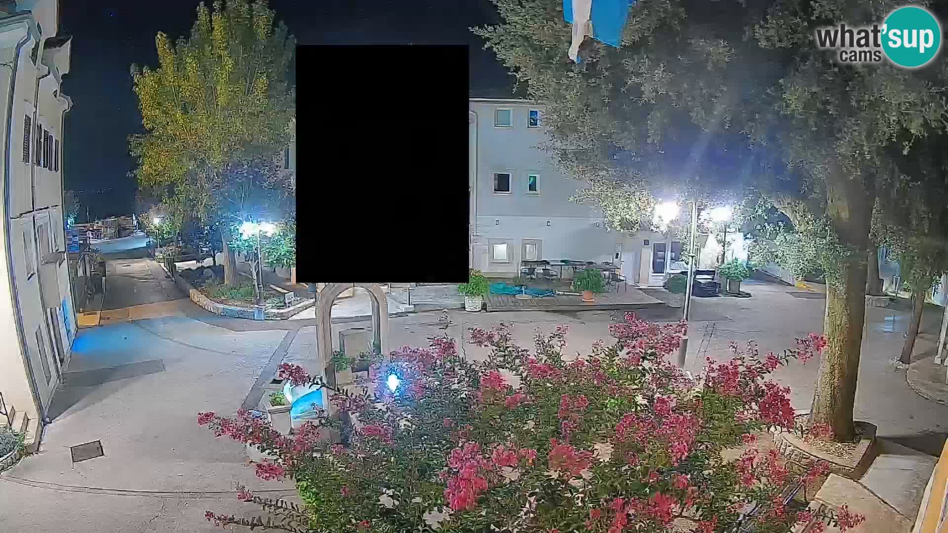 Webcam Centro Draga di Moschiena – Vista live sul centro