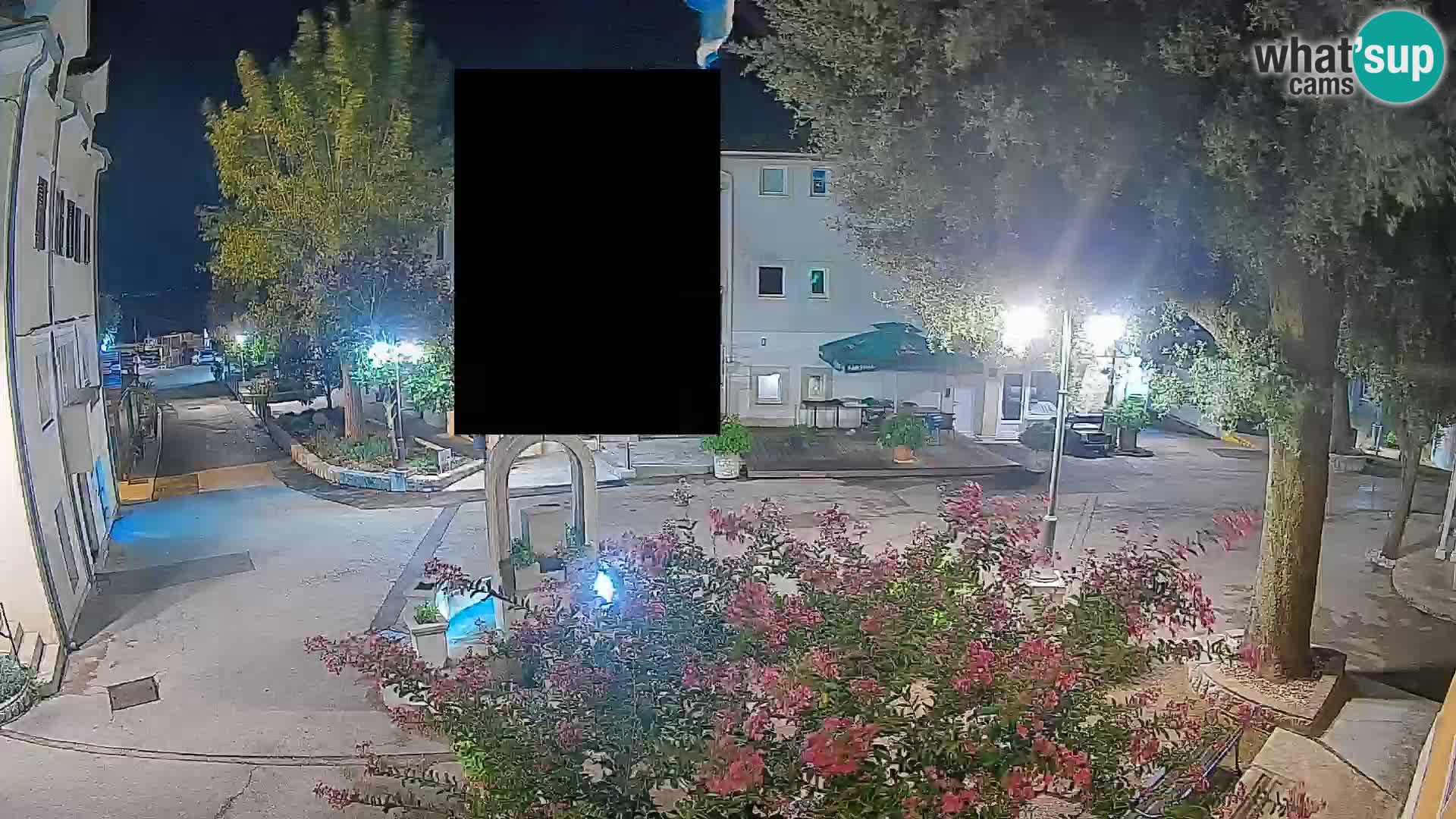 Webcam Centro Draga di Moschiena – Vista live sul centro
