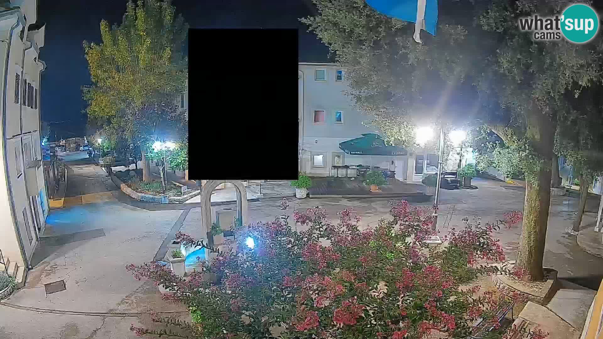 Webcam Centro Draga di Moschiena – Vista live sul centro