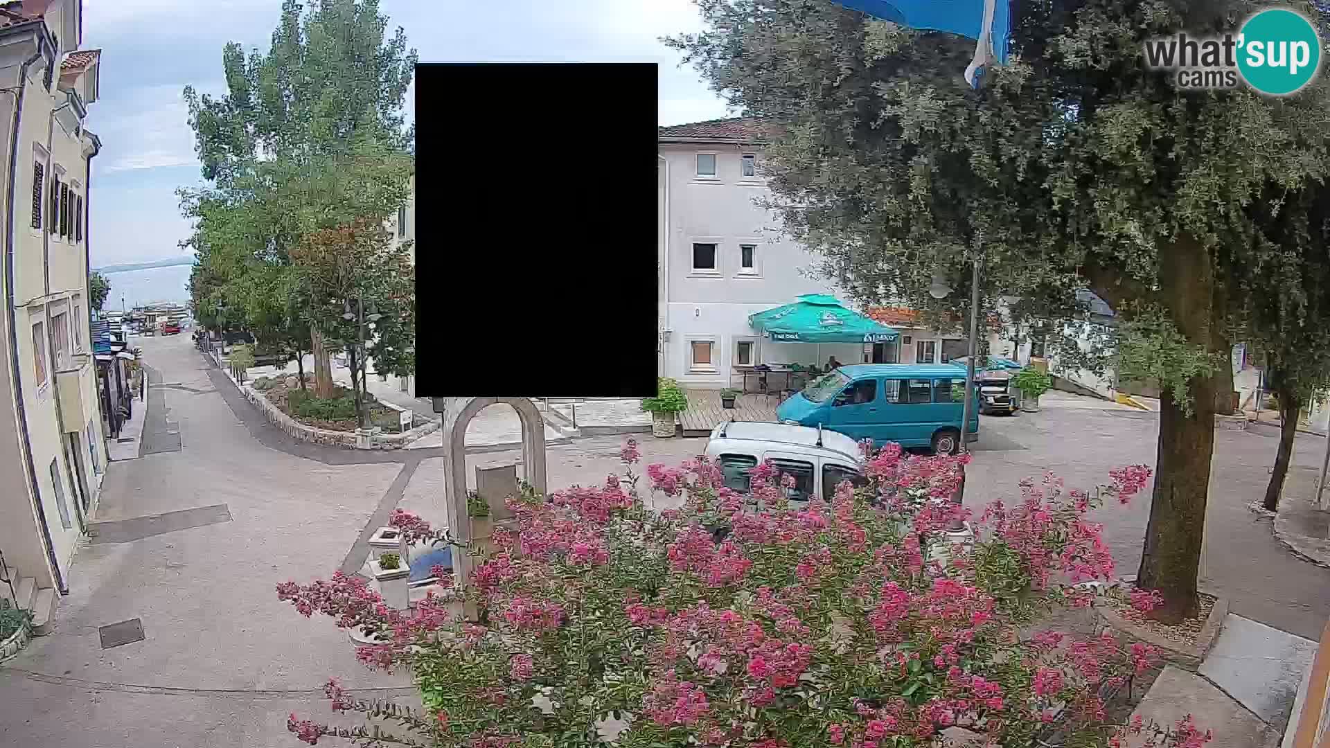 Webcam Centro Draga di Moschiena – Vista live sul centro