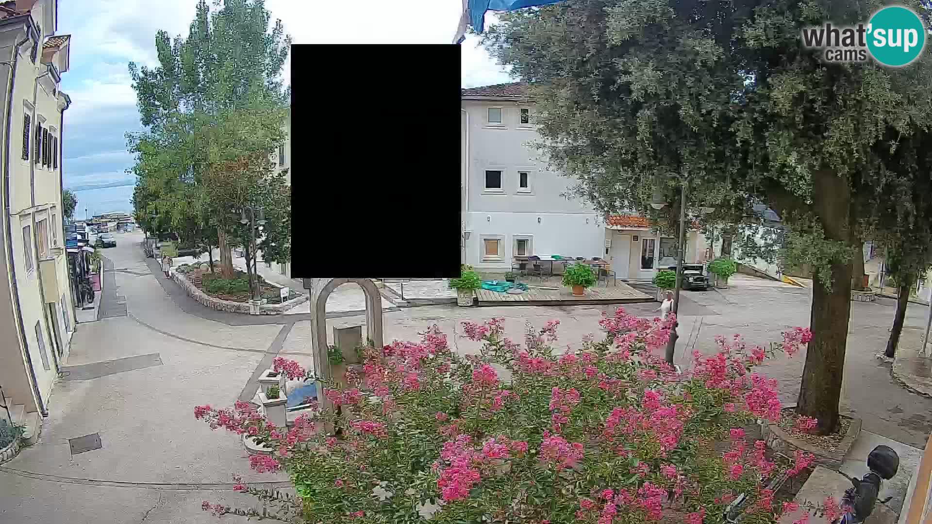 Webcam Centro Draga di Moschiena – Vista live sul centro