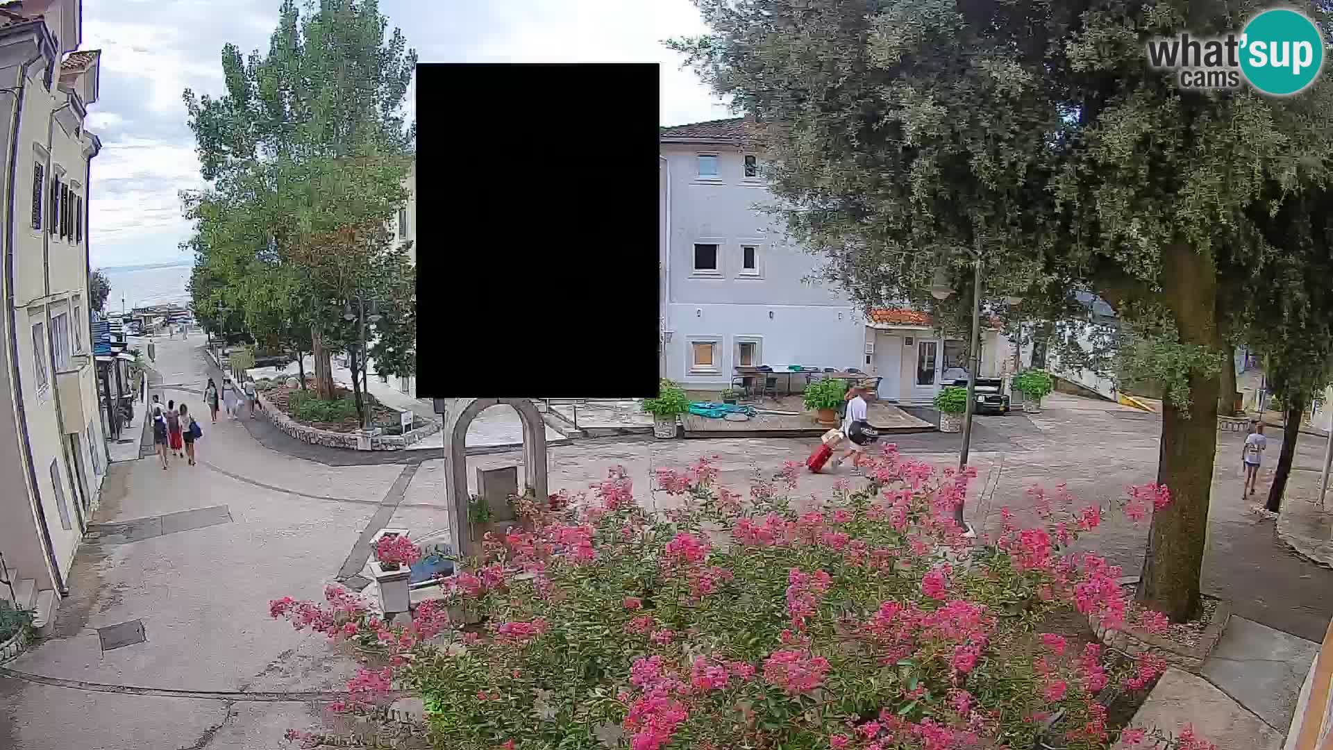 Webcam Centro Draga di Moschiena – Vista live sul centro