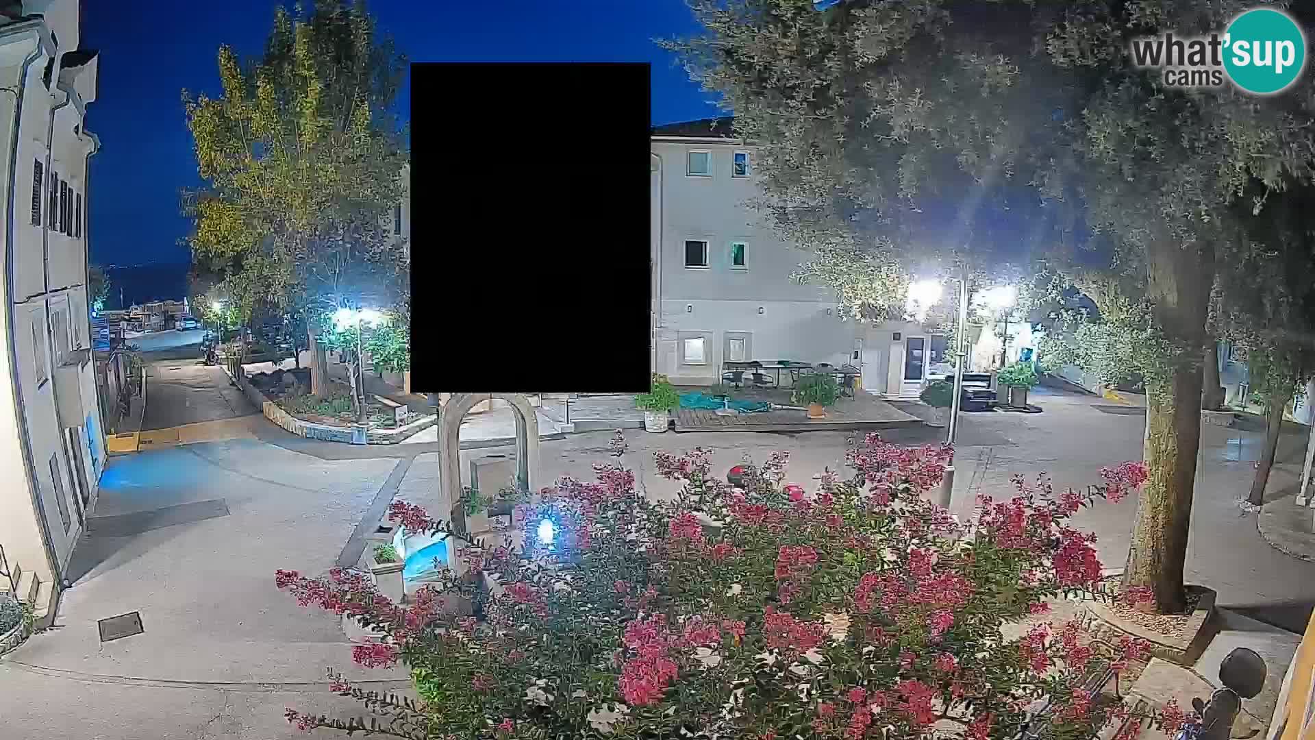 Webcam Centro Draga di Moschiena – Vista live sul centro