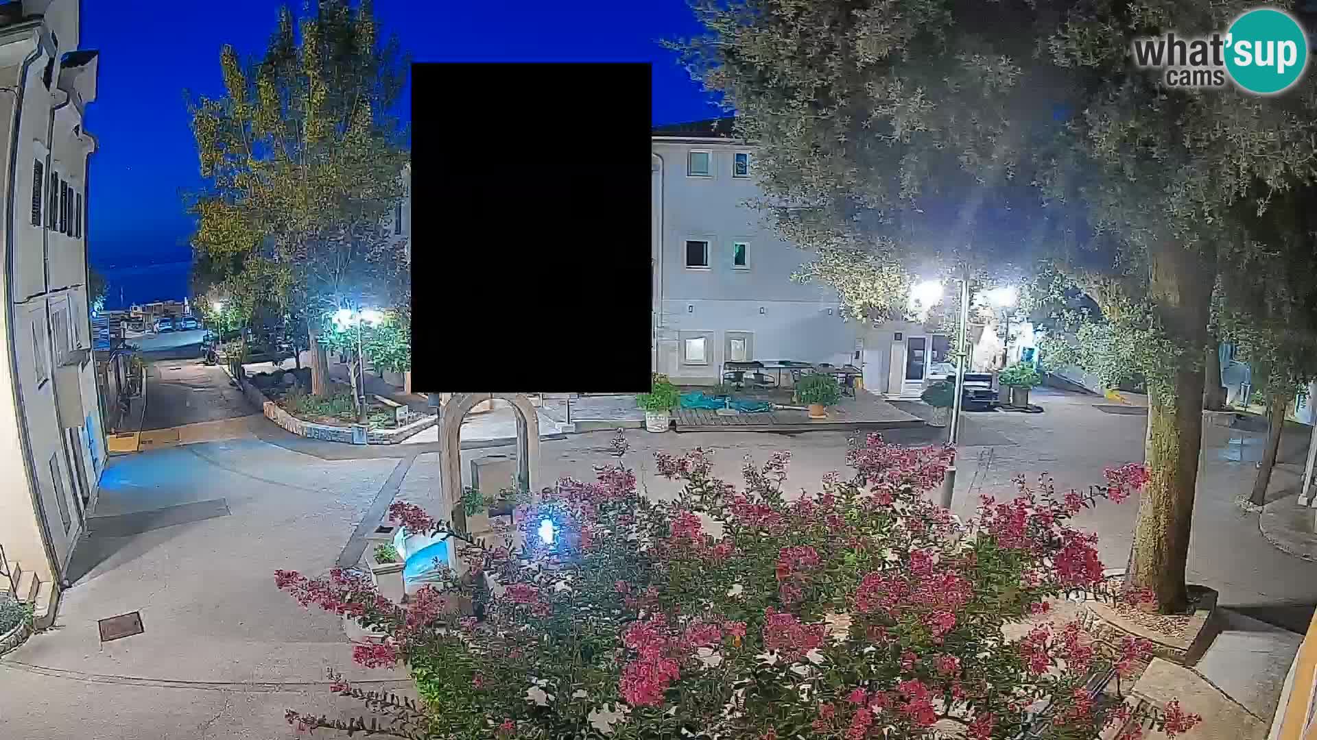 Webcam Centro Draga di Moschiena – Vista live sul centro