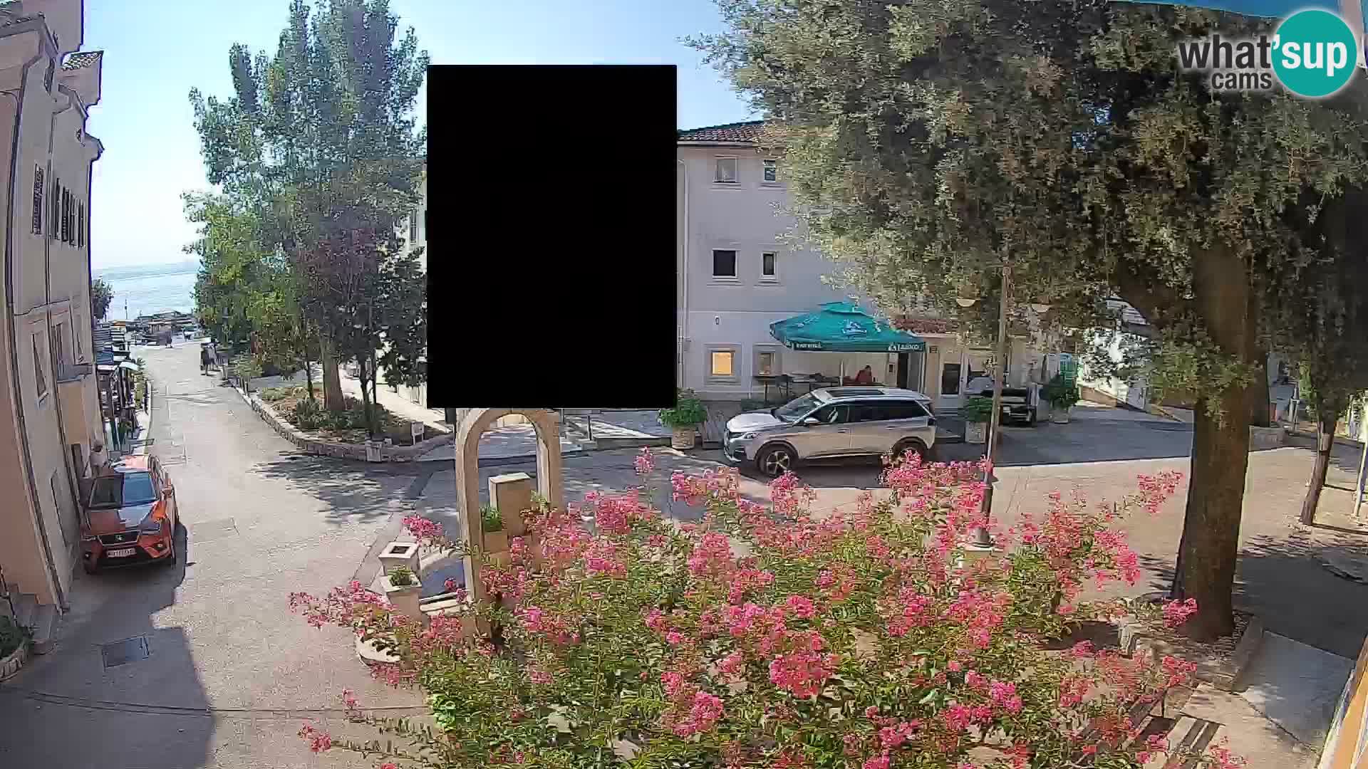 Webcam Centro Draga di Moschiena – Vista live sul centro
