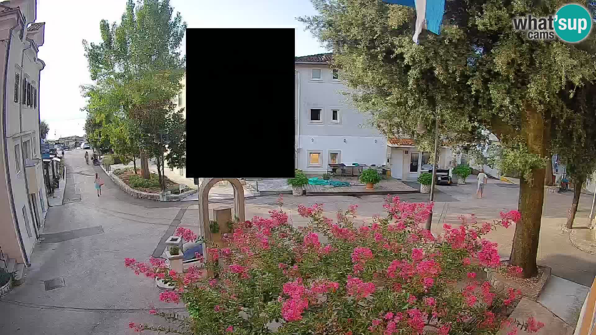 Webcam Centro Draga di Moschiena – Vista live sul centro