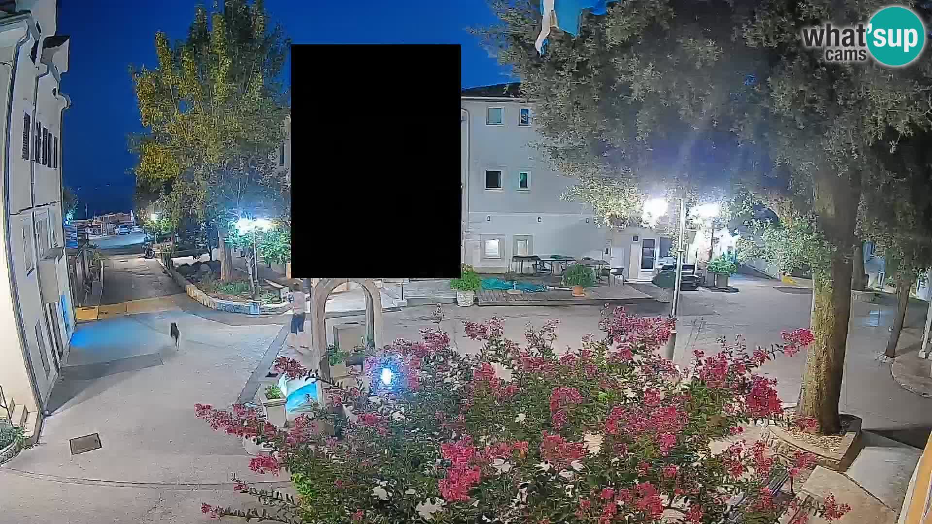 Webcam Centre de Mošćenička Draga – Vue en direct du centre-ville
