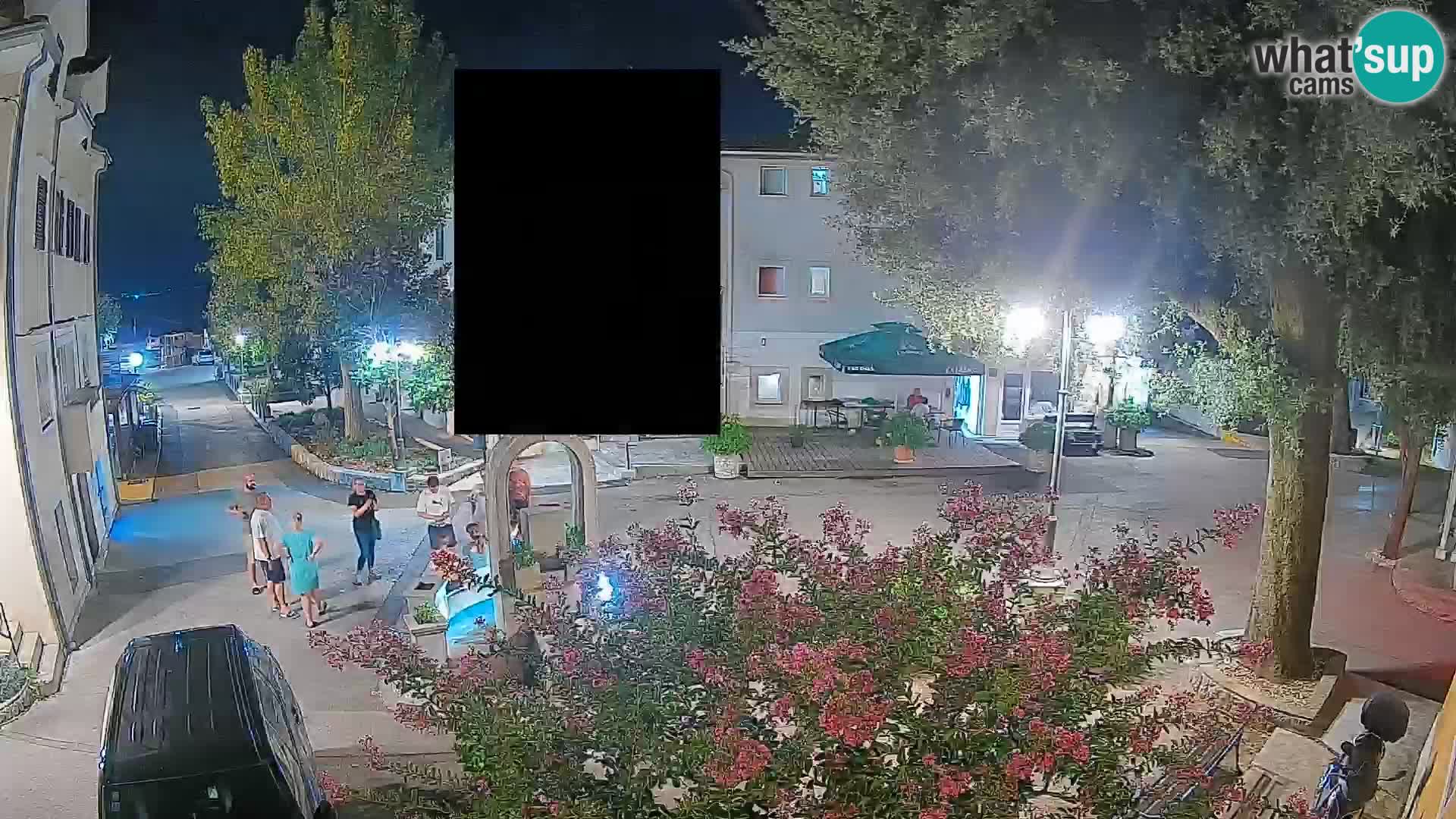 Webcam Centro Draga di Moschiena – Vista live sul centro
