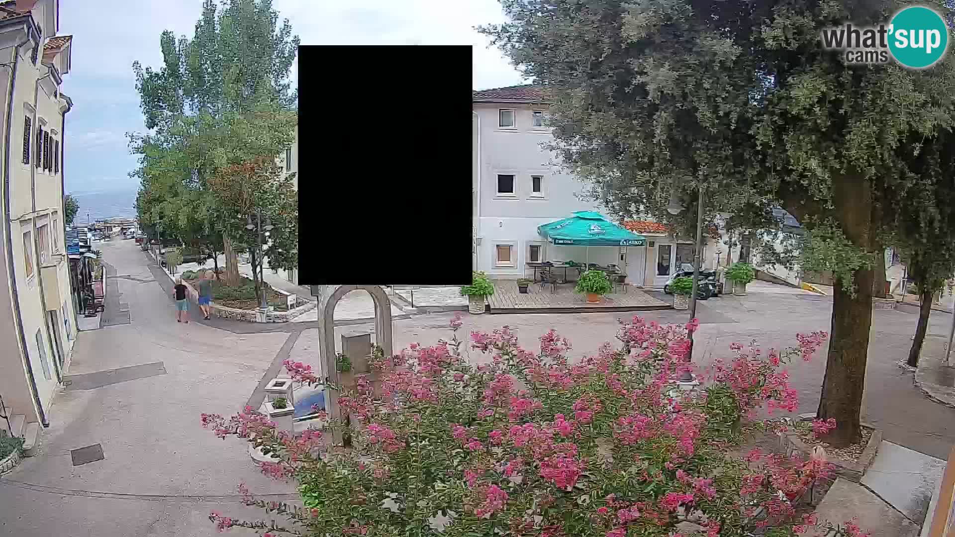 Webcam Centro Draga di Moschiena – Vista live sul centro