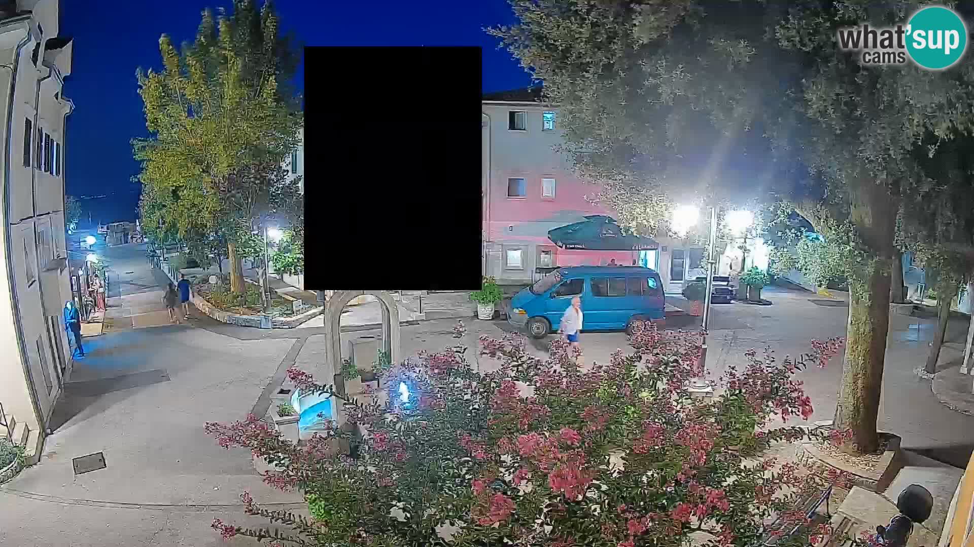 Webcam Centro Draga di Moschiena – Vista live sul centro