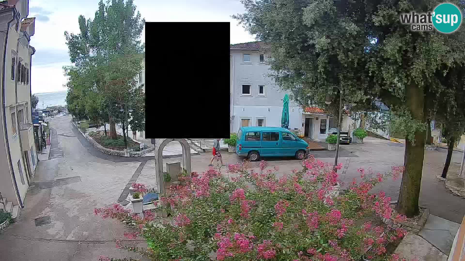 Webcam Centro Draga di Moschiena – Vista live sul centro