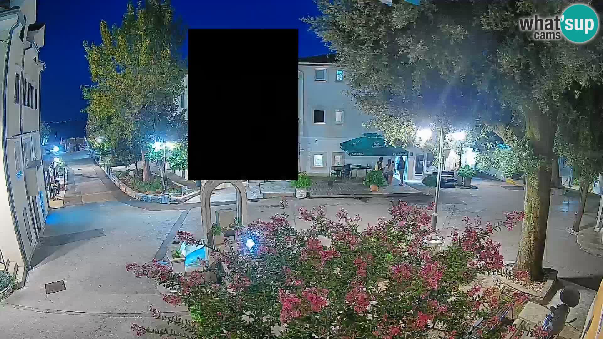 Webcam Centro Draga di Moschiena – Vista live sul centro
