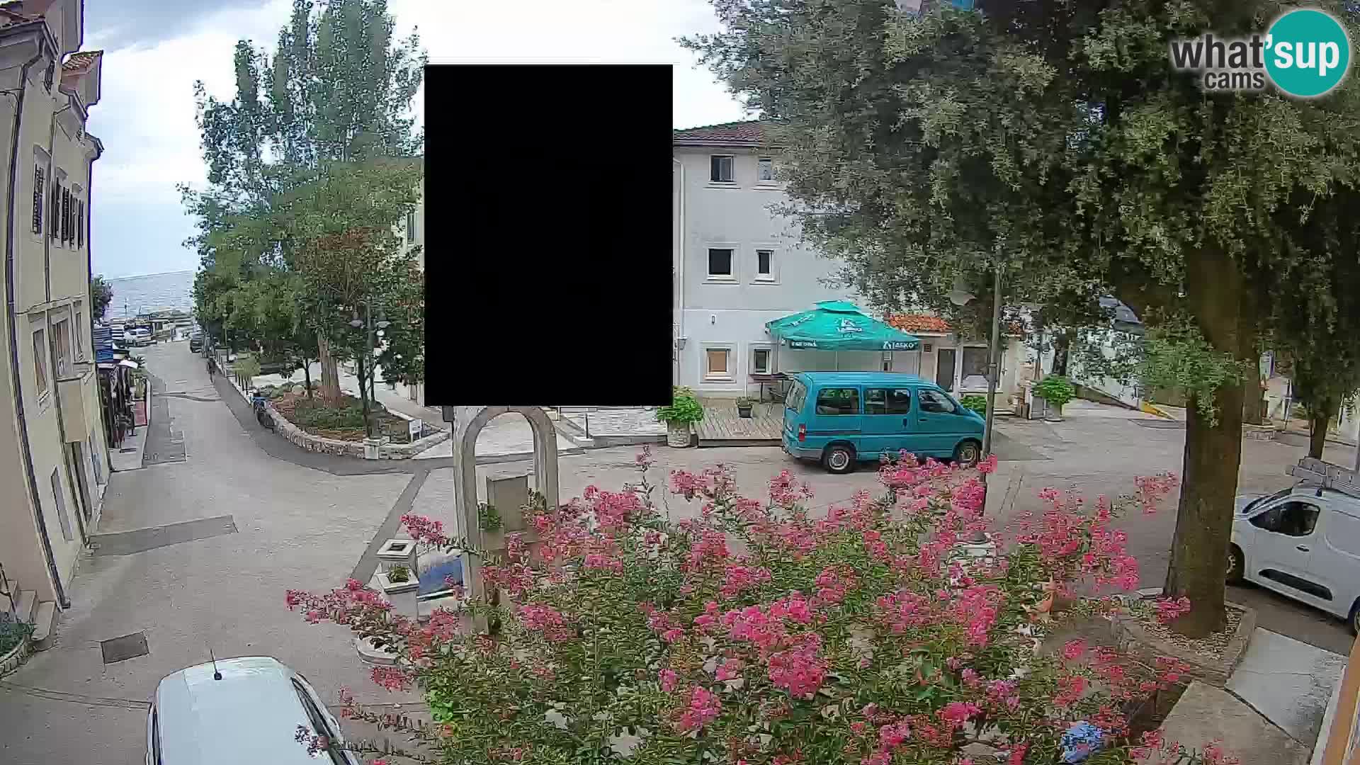 Webcam Centro Draga di Moschiena – Vista live sul centro