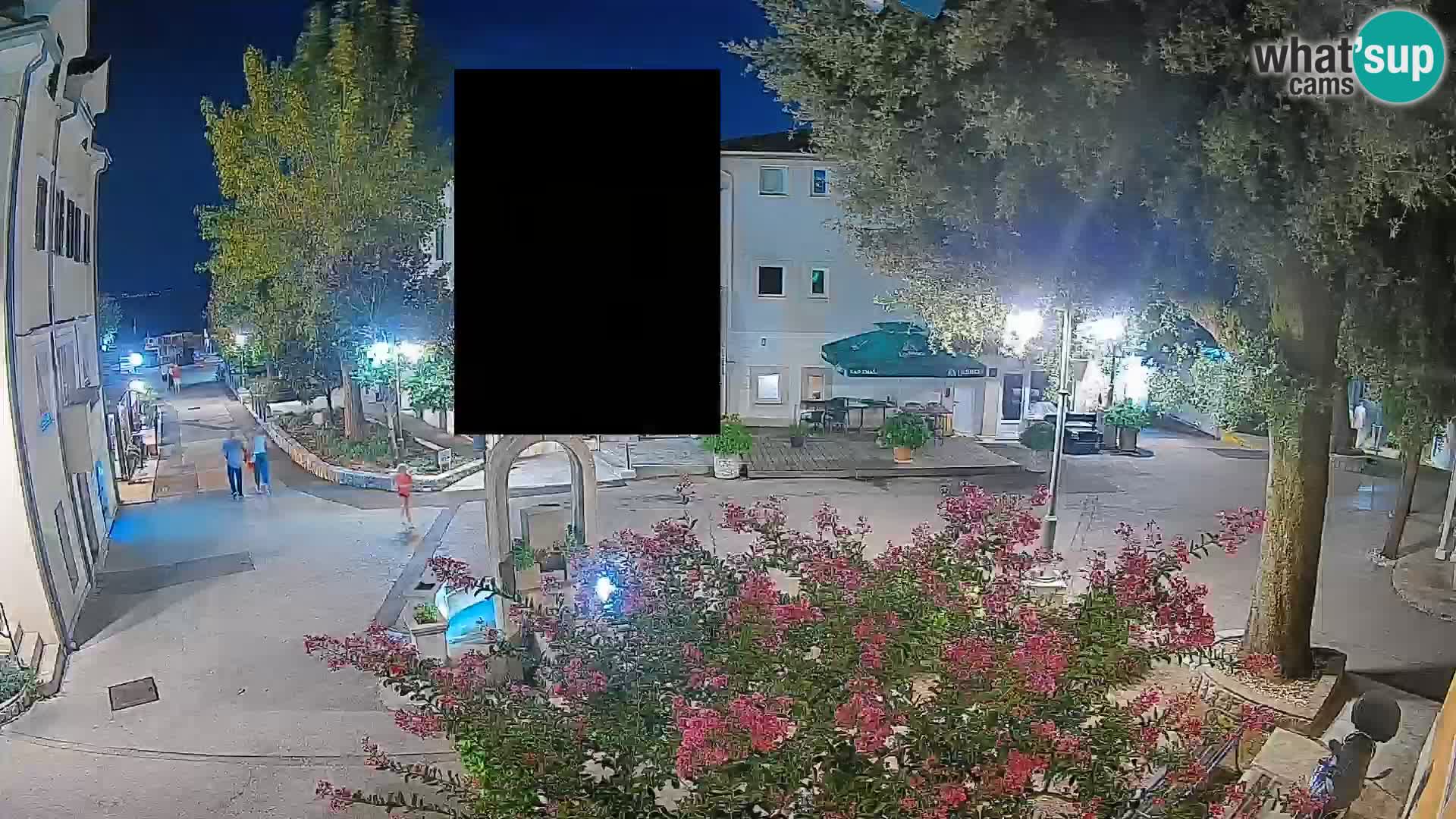 Webcam Centro Draga di Moschiena – Vista live sul centro