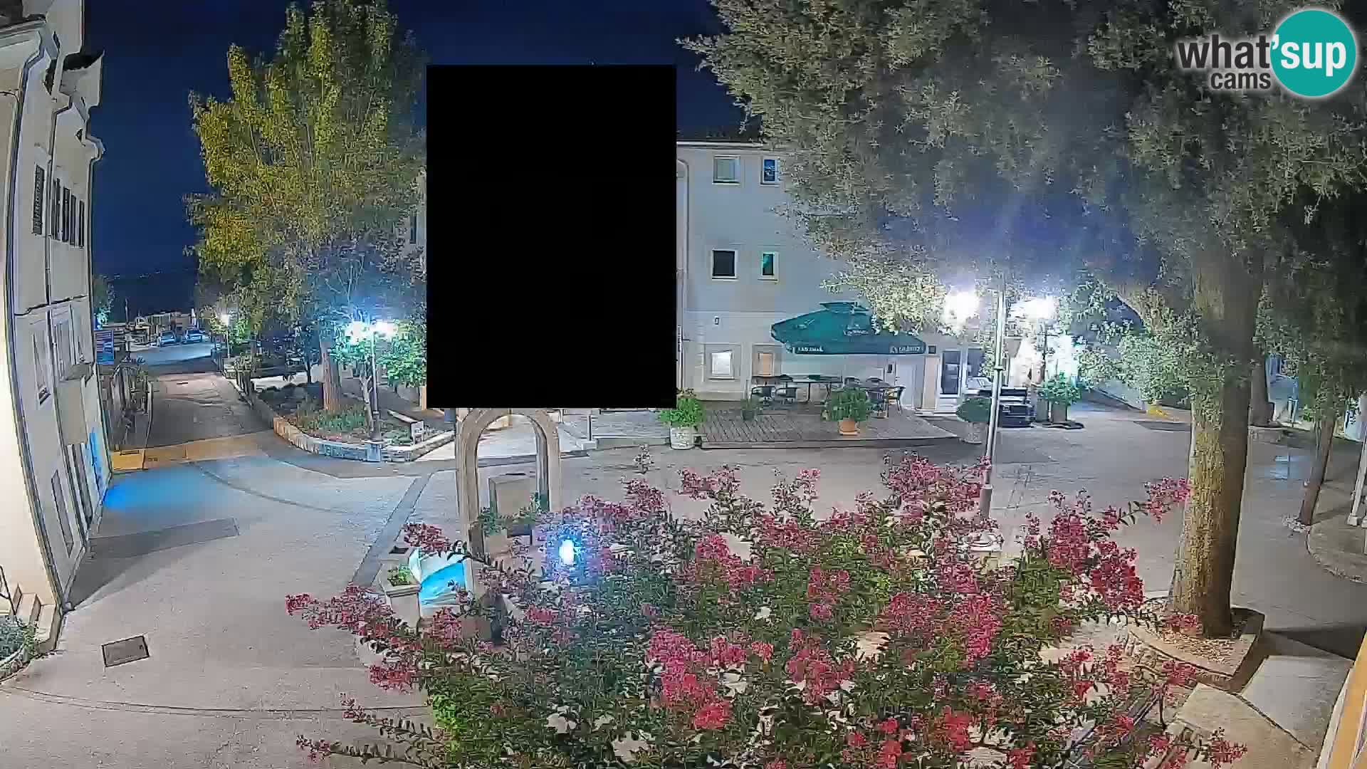 Webcam Centro Draga di Moschiena – Vista live sul centro