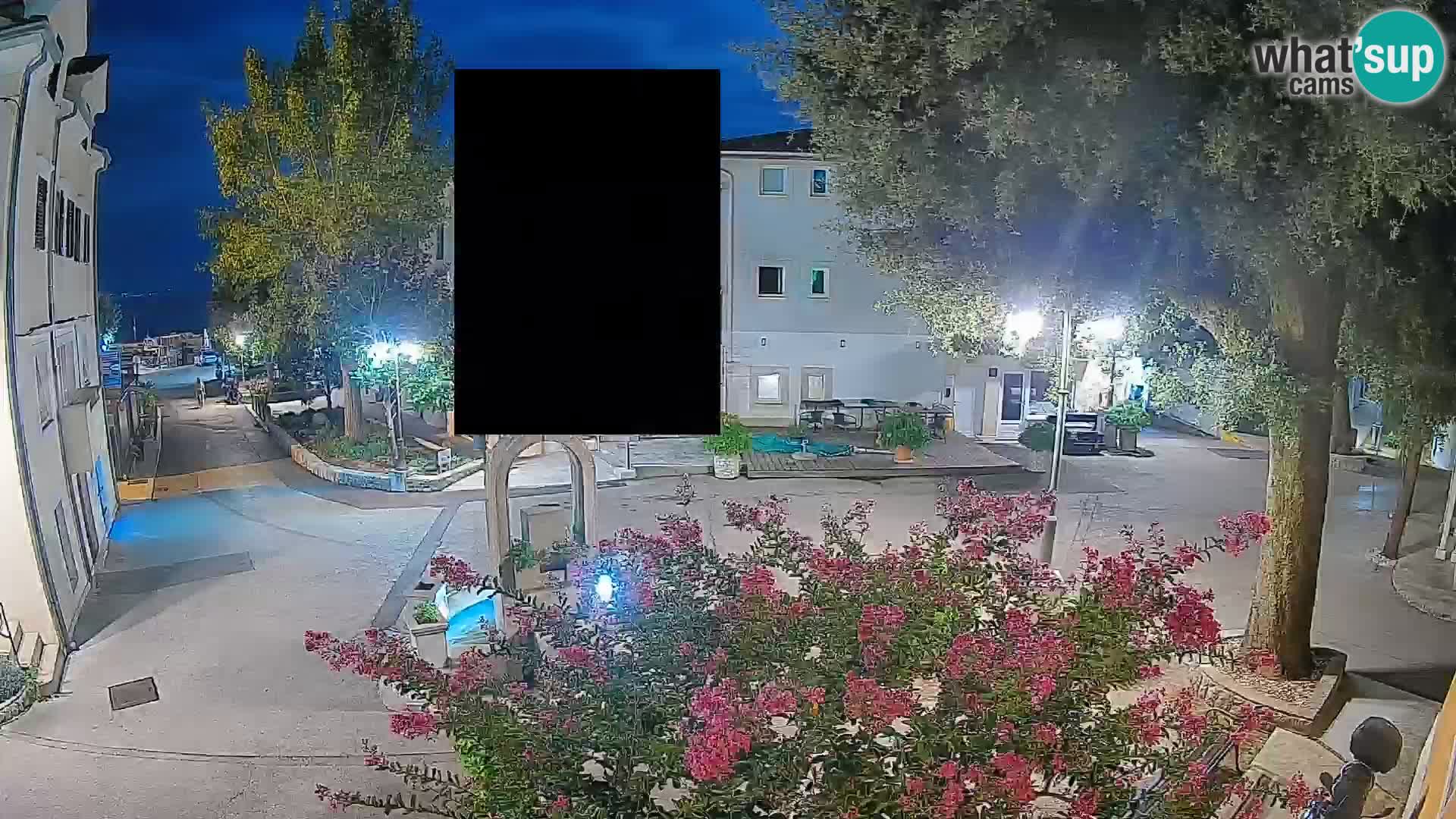 Webcam Centro Draga di Moschiena – Vista live sul centro