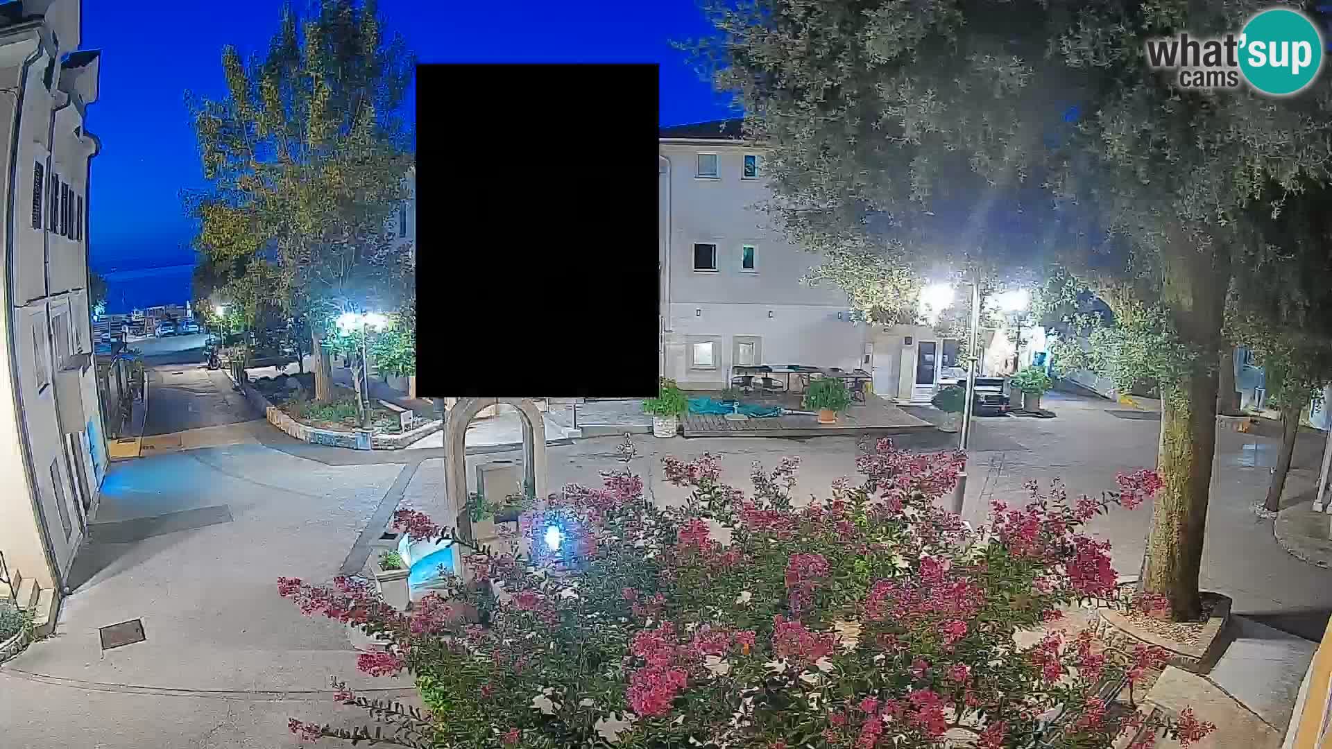 Webcam Centro Draga di Moschiena – Vista live sul centro