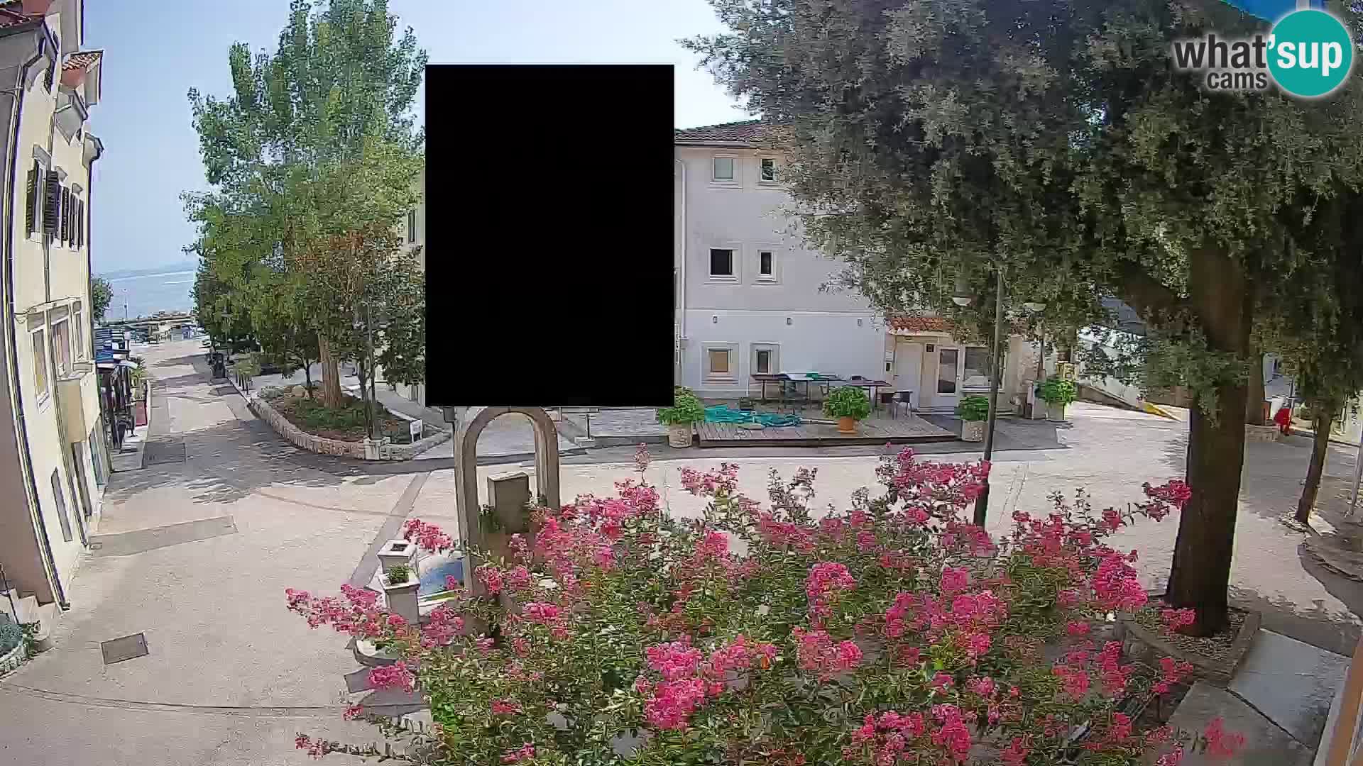 Webcam Centro Draga di Moschiena – Vista live sul centro