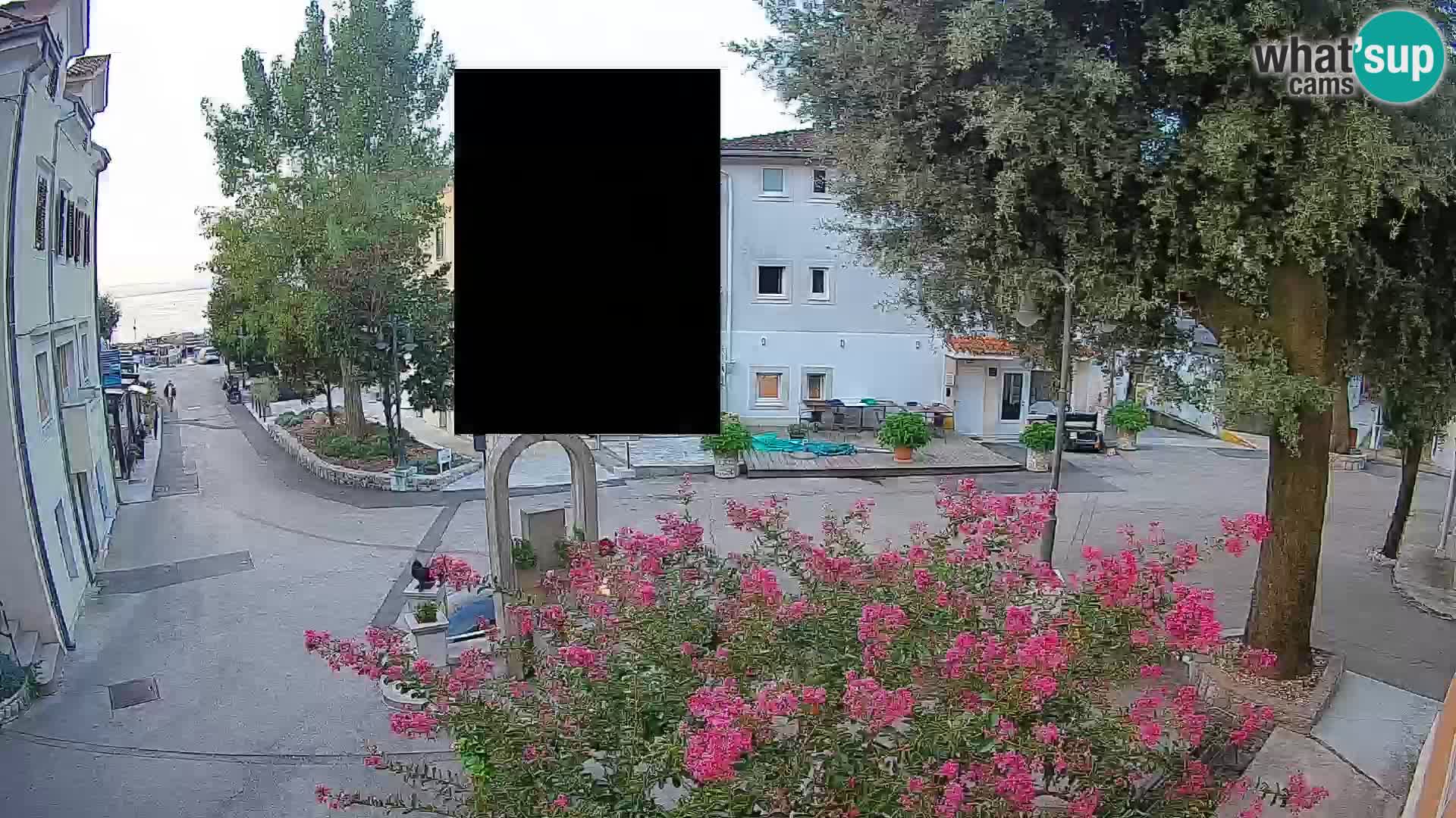 Webcam Centro Draga di Moschiena – Vista live sul centro