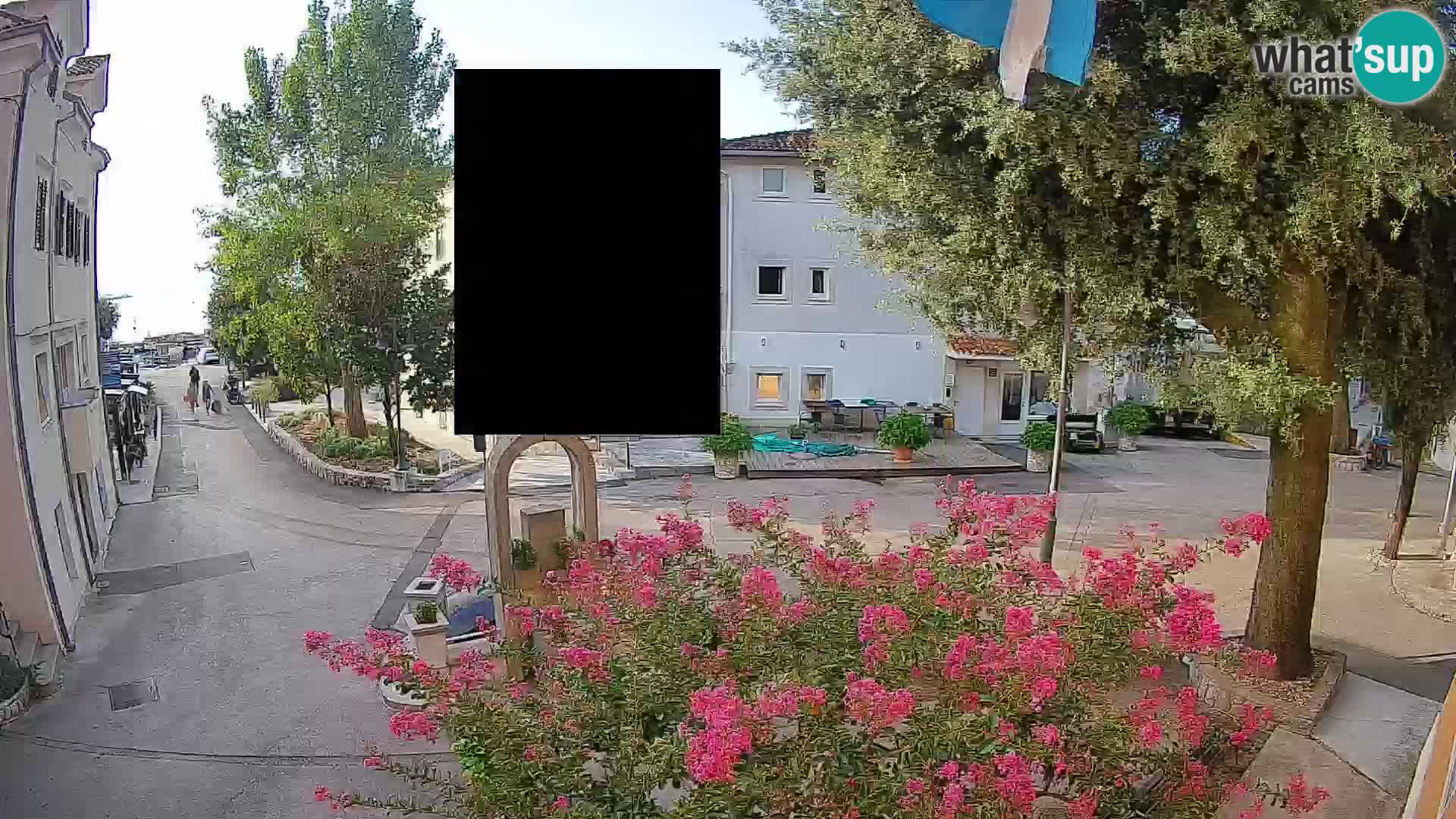Webcam Centro Draga di Moschiena – Vista live sul centro