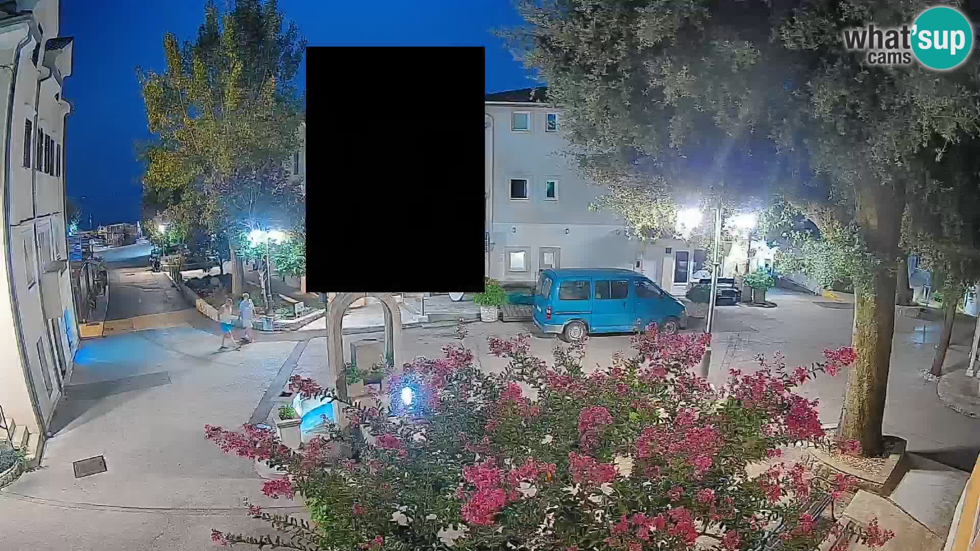 Webcam Centro Draga di Moschiena – Vista live sul centro