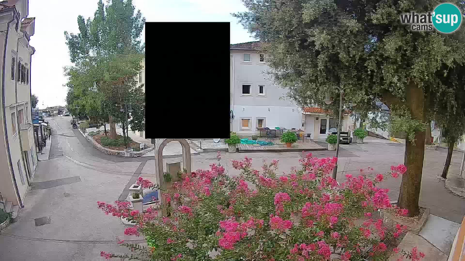 Webcam Centro Draga di Moschiena – Vista live sul centro
