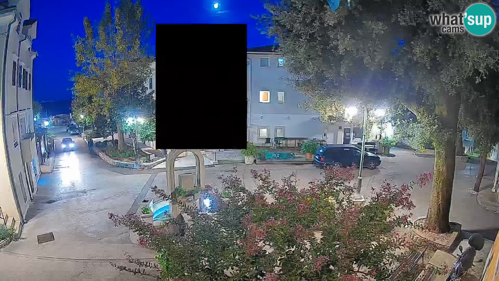 Webcam Centro Draga di Moschiena – Vista live sul centro