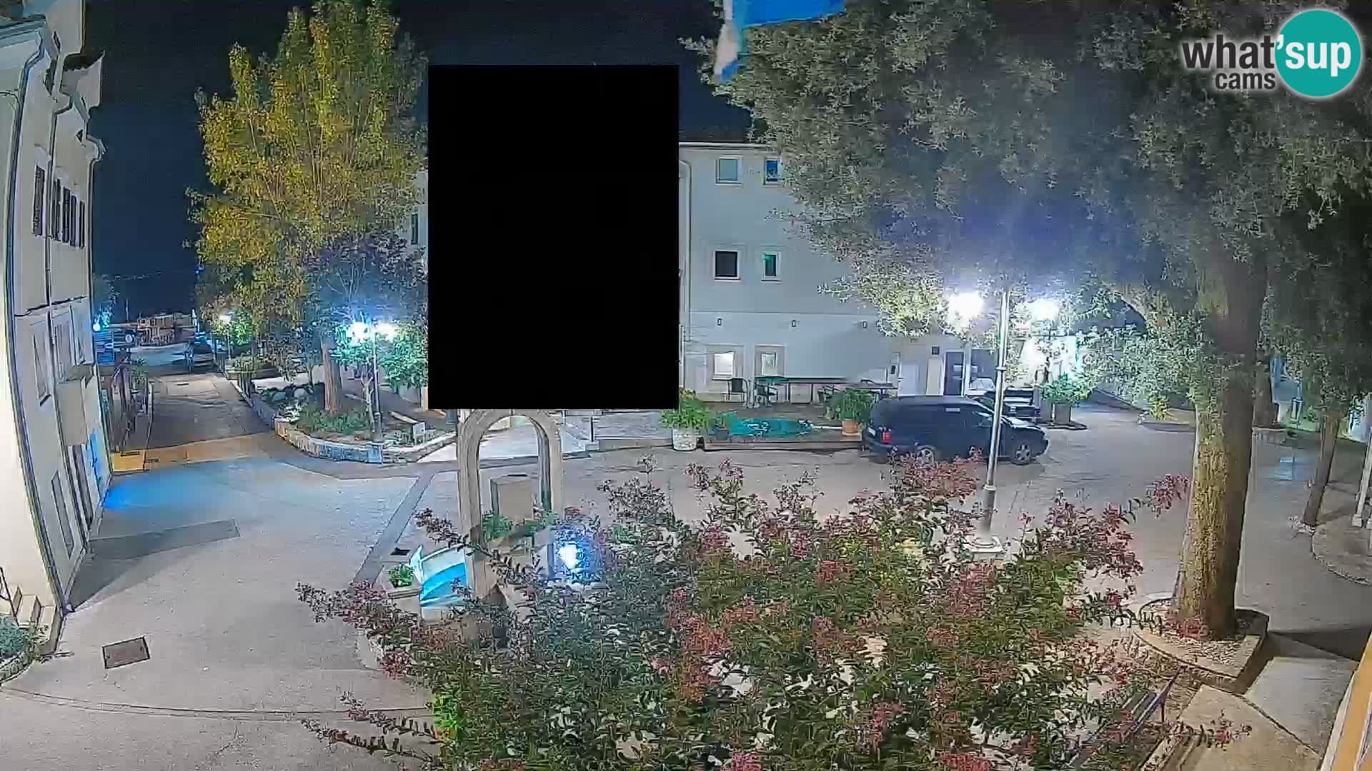 Webcam Centro Draga di Moschiena – Vista live sul centro