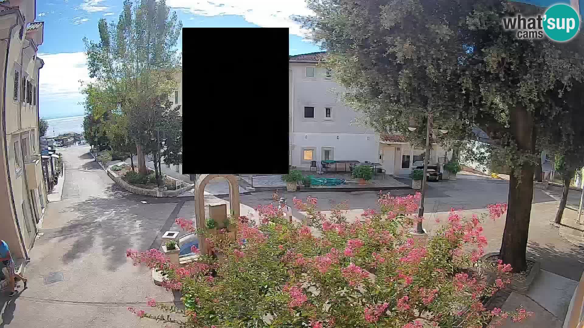 Webcam Centro Draga di Moschiena – Vista live sul centro