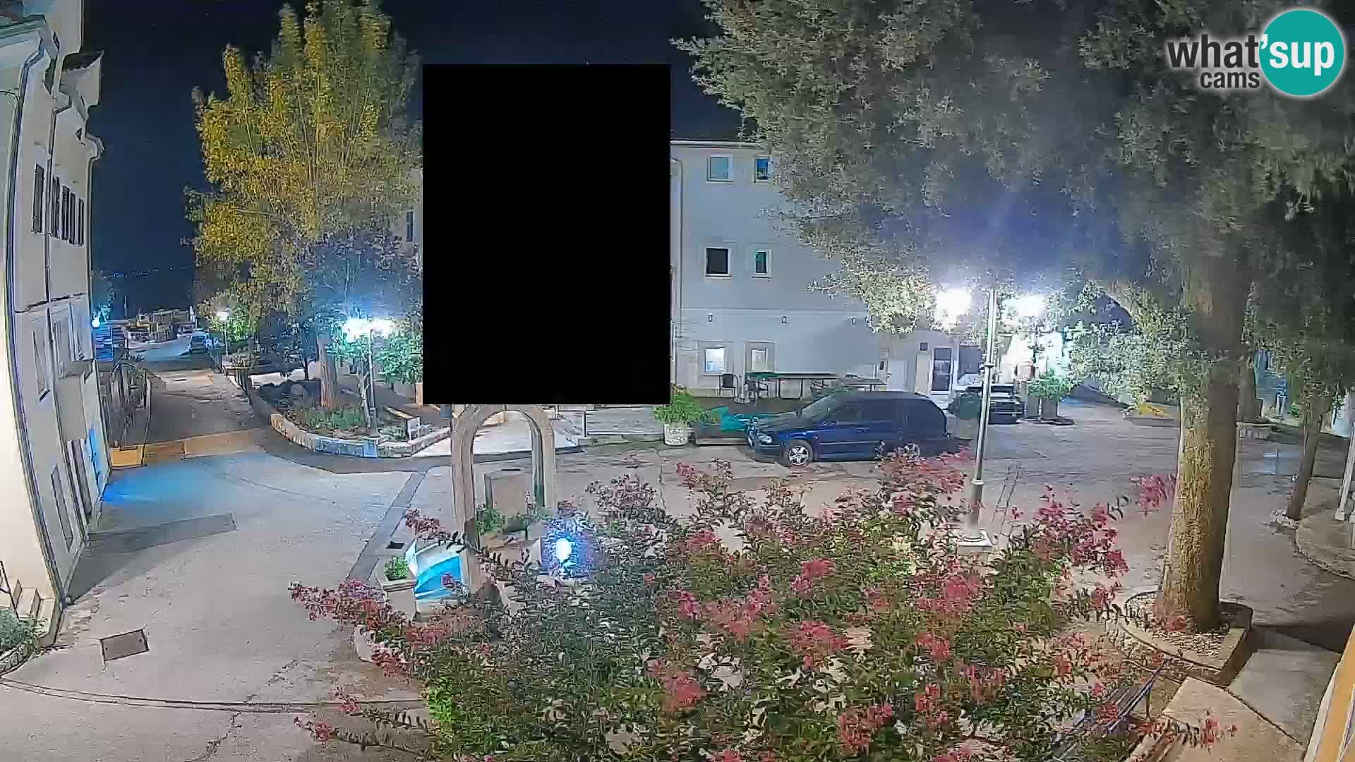 Webcam Centro Draga di Moschiena – Vista live sul centro