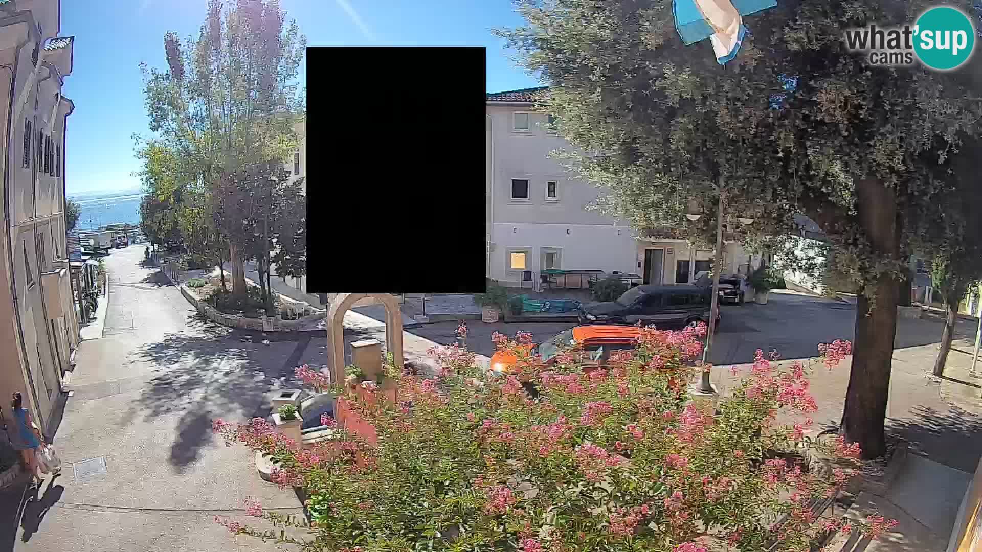Webcam Centro Draga di Moschiena – Vista live sul centro