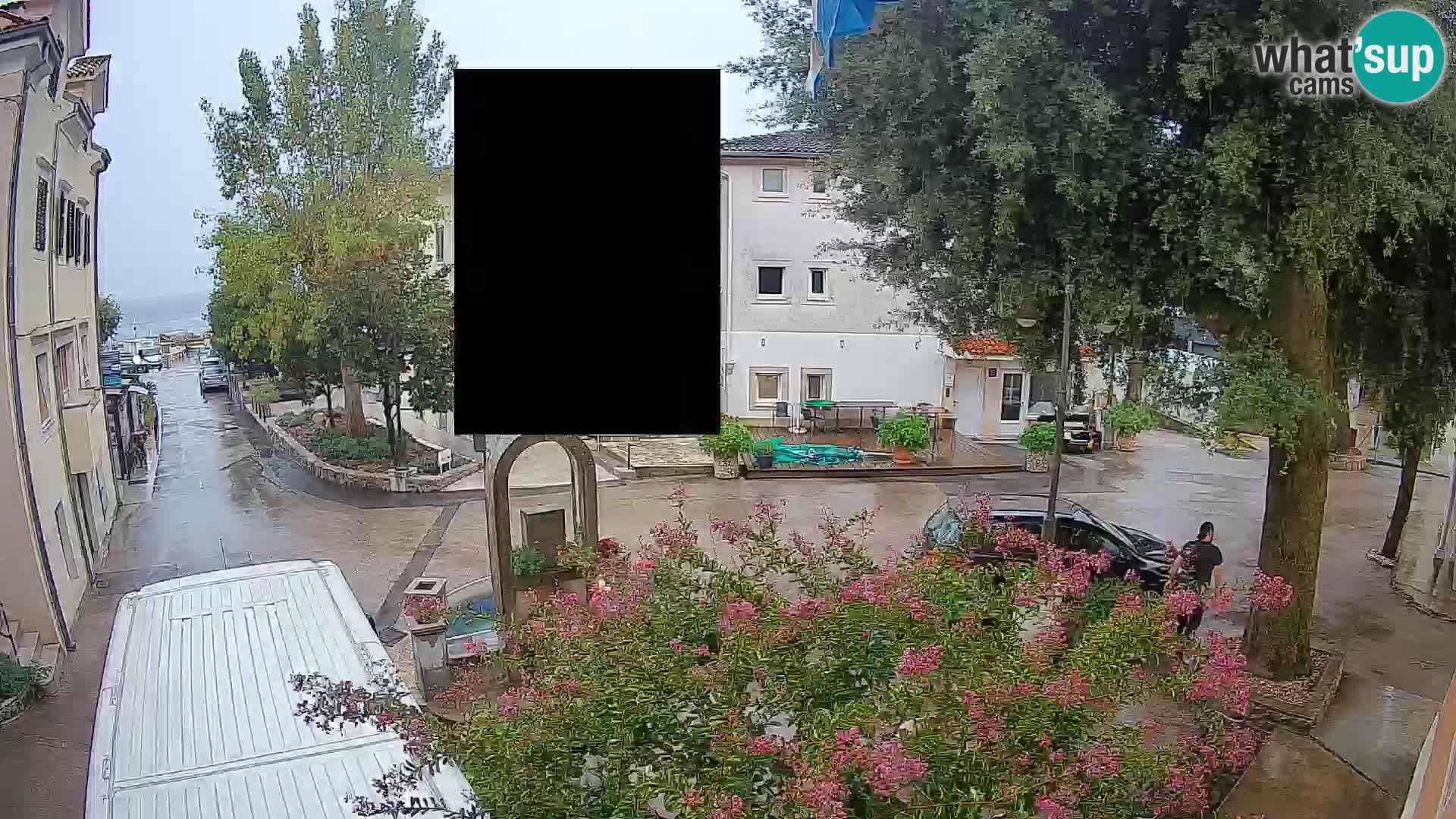 Webcam Centro Draga di Moschiena – Vista live sul centro