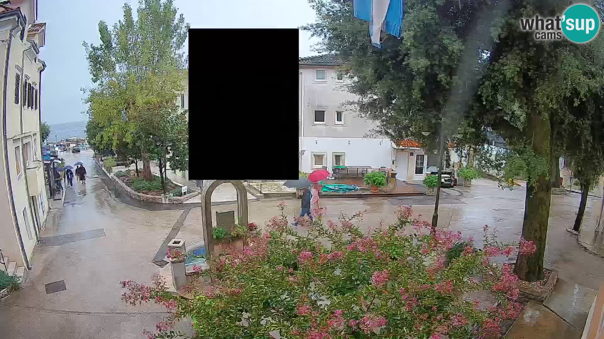 Webcam Centro Draga di Moschiena – Vista live sul centro