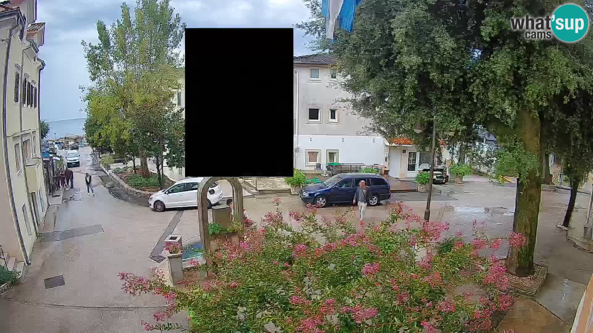 Webcam Centro Draga di Moschiena – Vista live sul centro