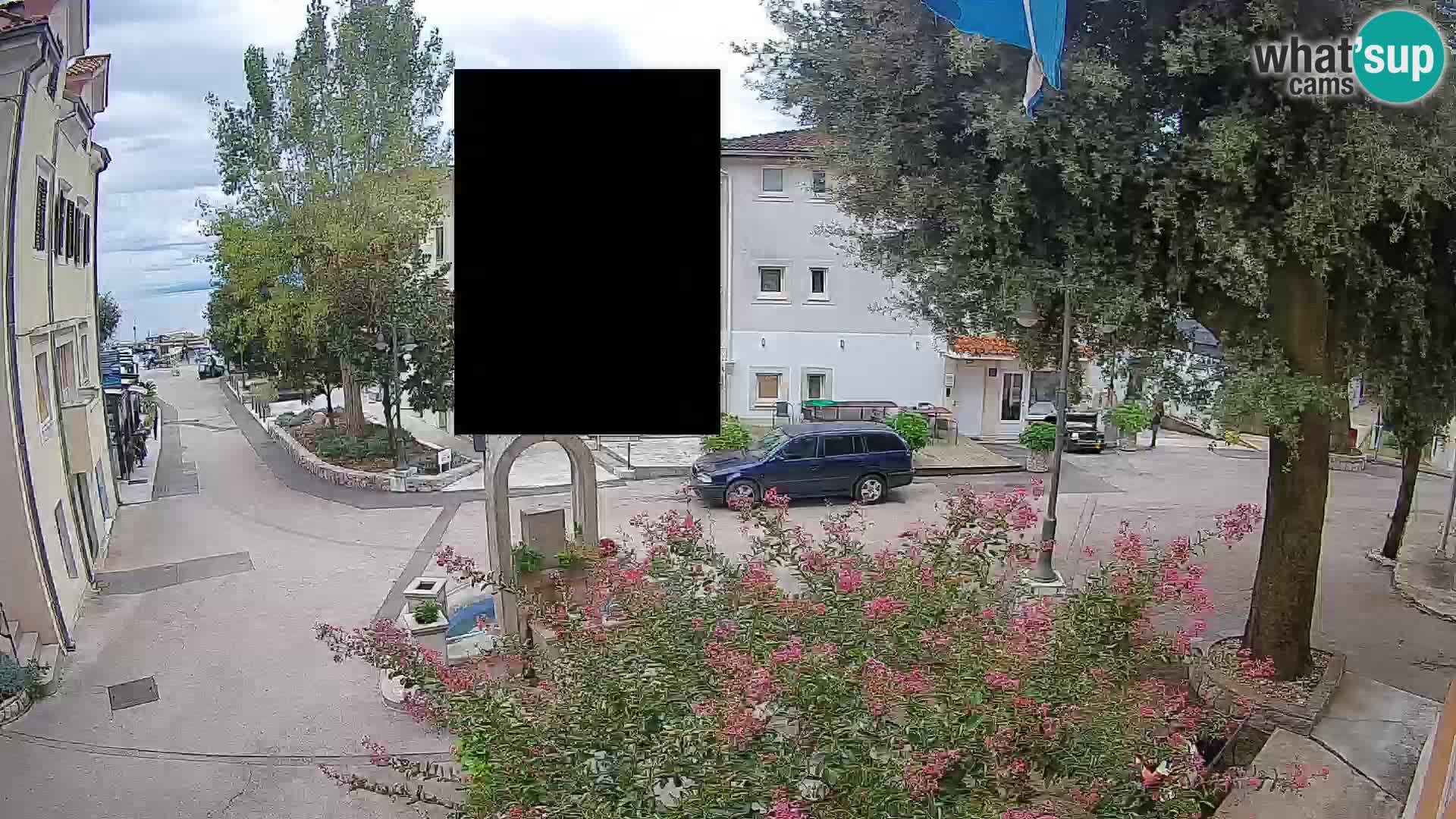 Webcam Centro Draga di Moschiena – Vista live sul centro