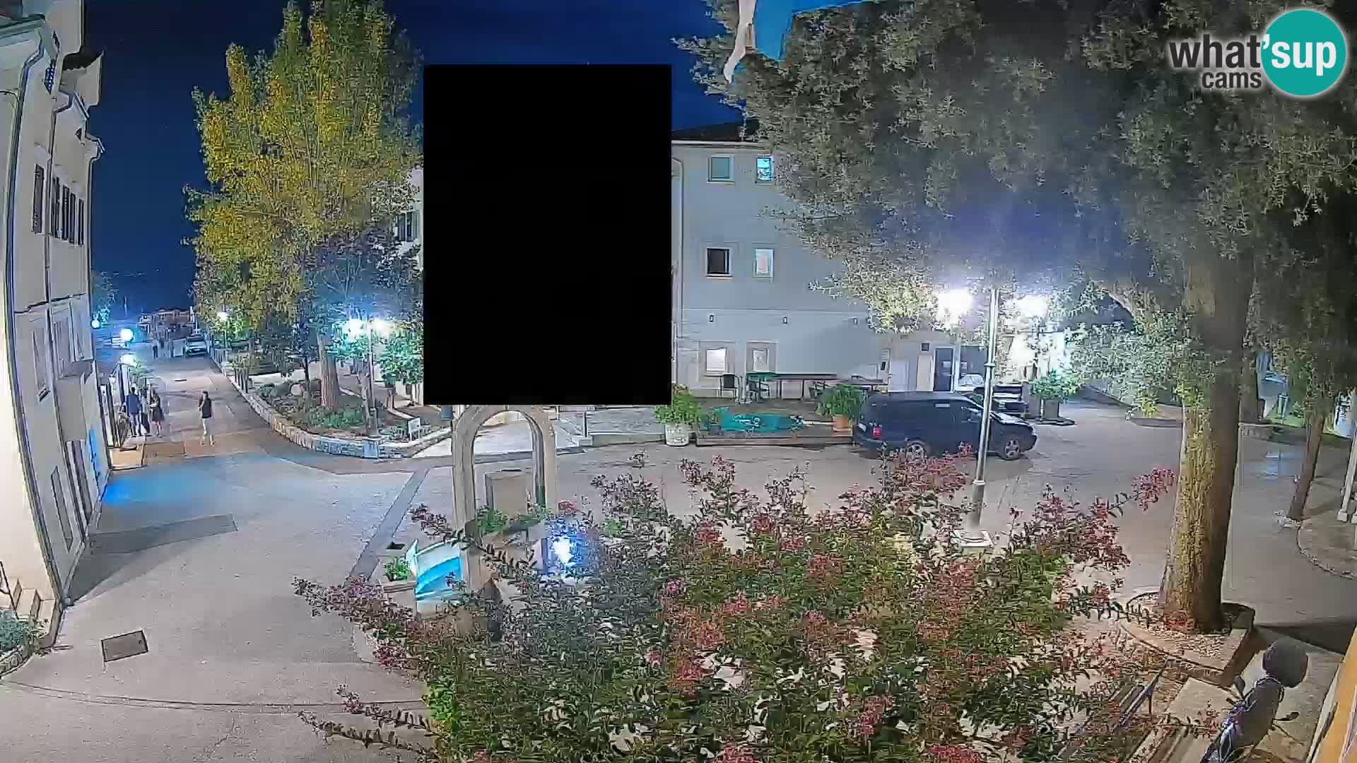 Webcam Centro Draga di Moschiena – Vista live sul centro