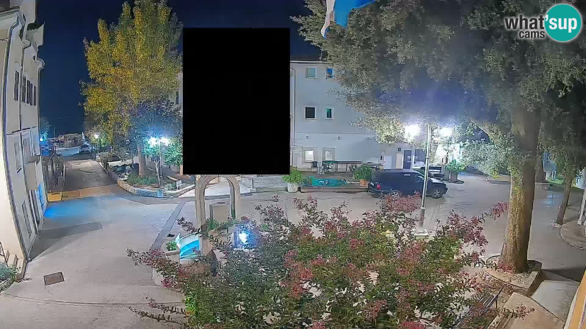 Webcam Centro Draga di Moschiena – Vista live sul centro