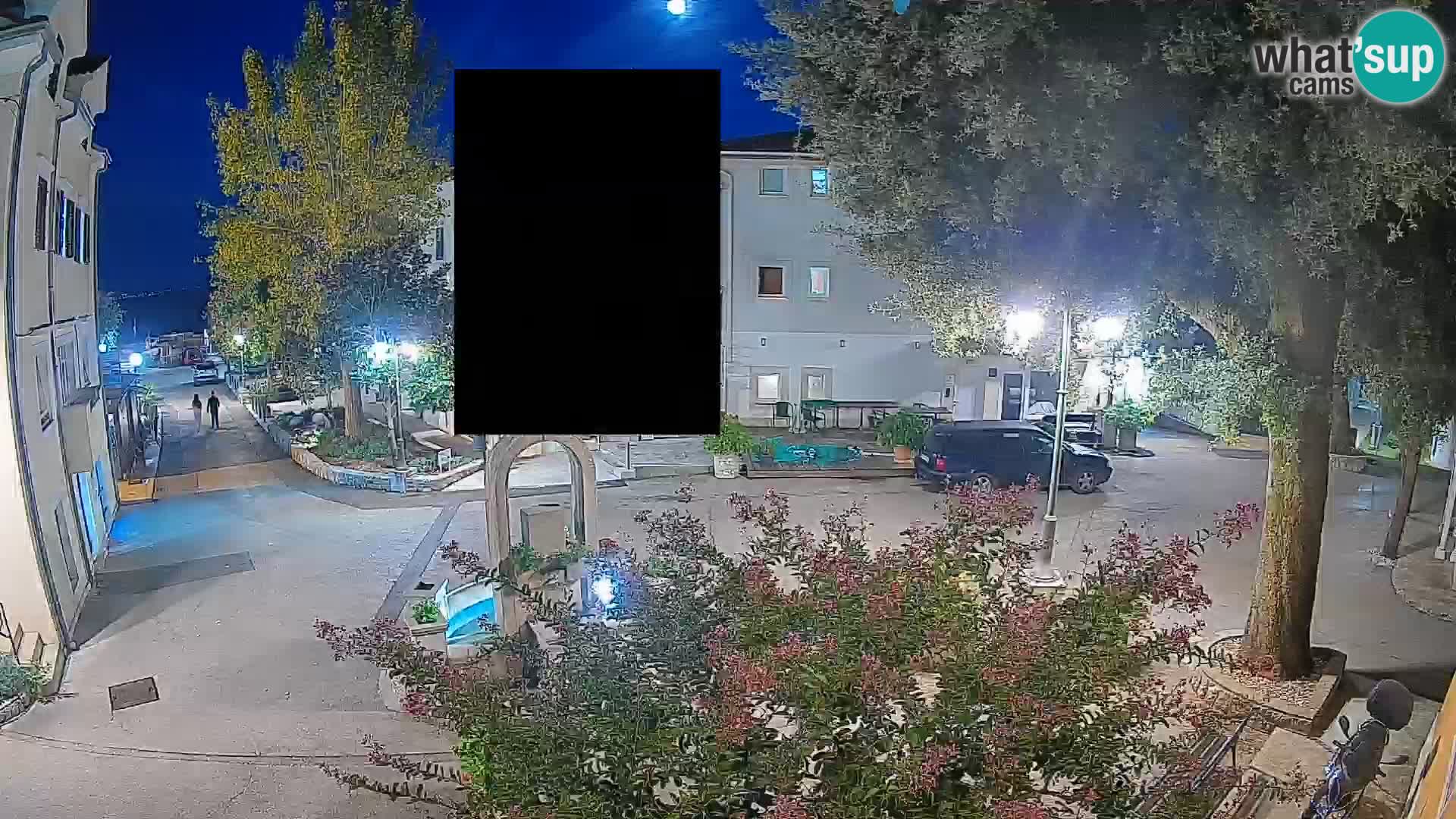 Webcam Centro Draga di Moschiena – Vista live sul centro