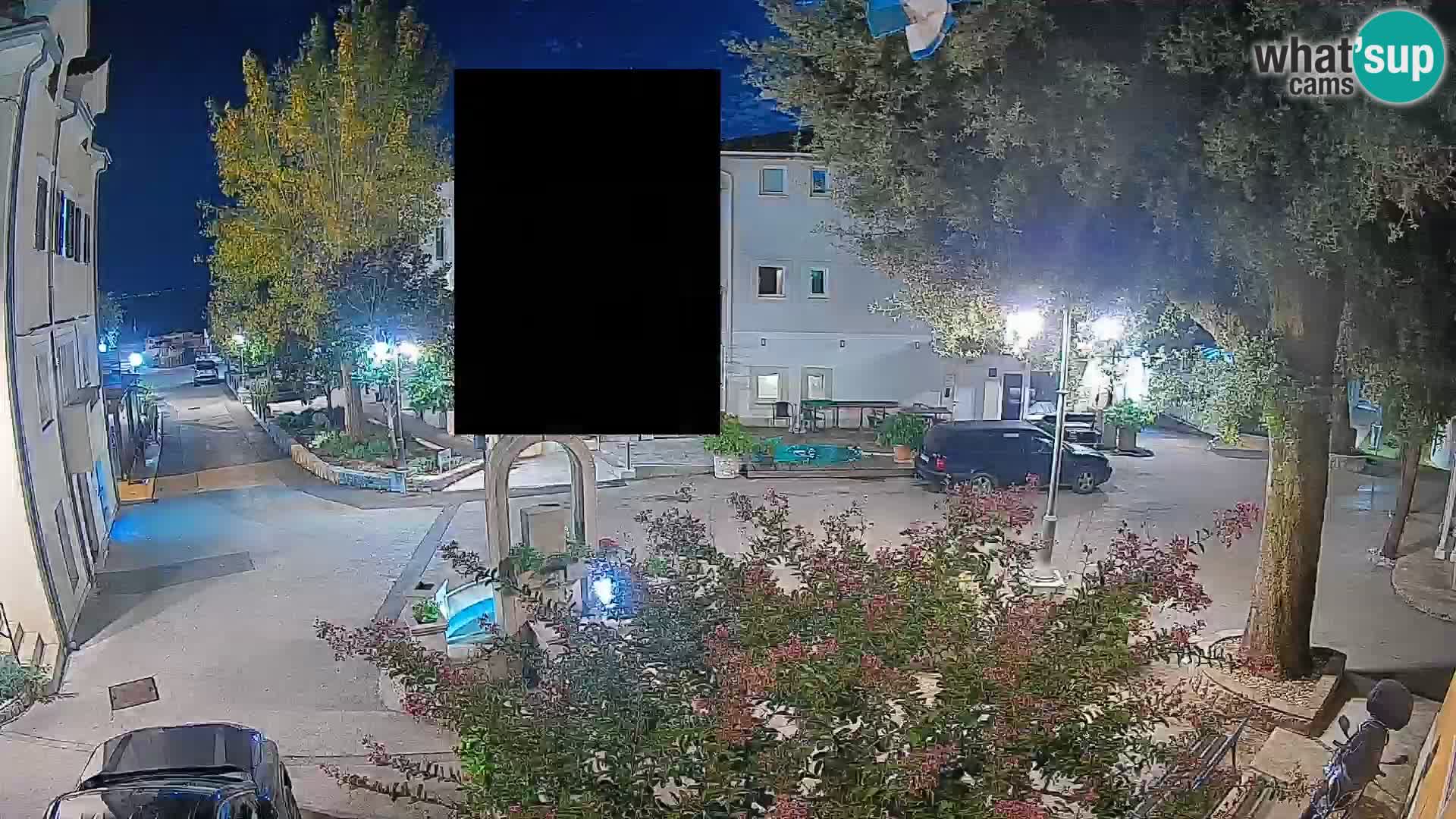 Webcam Centro Draga di Moschiena – Vista live sul centro