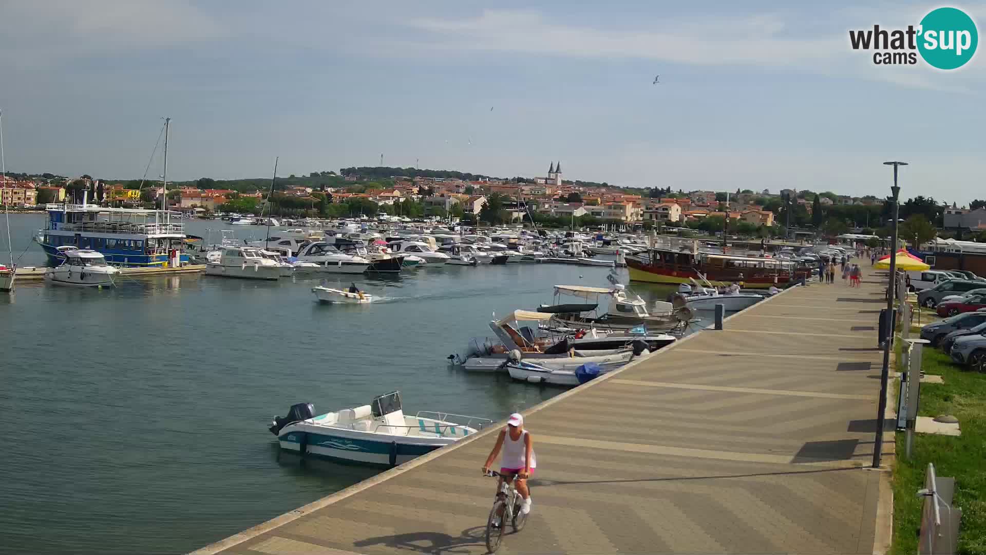 LIVE Webcam Medulin – Riva