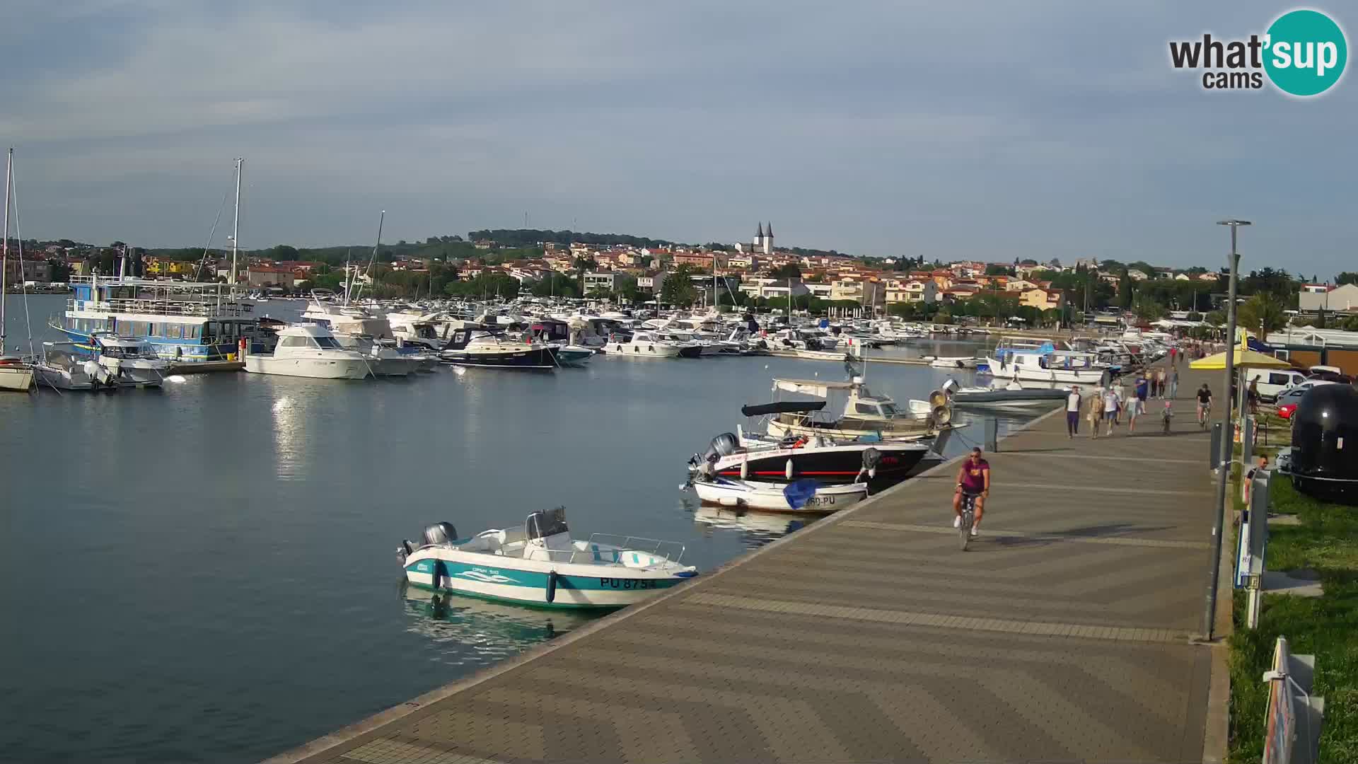 Medulin Live Webcam – Riva