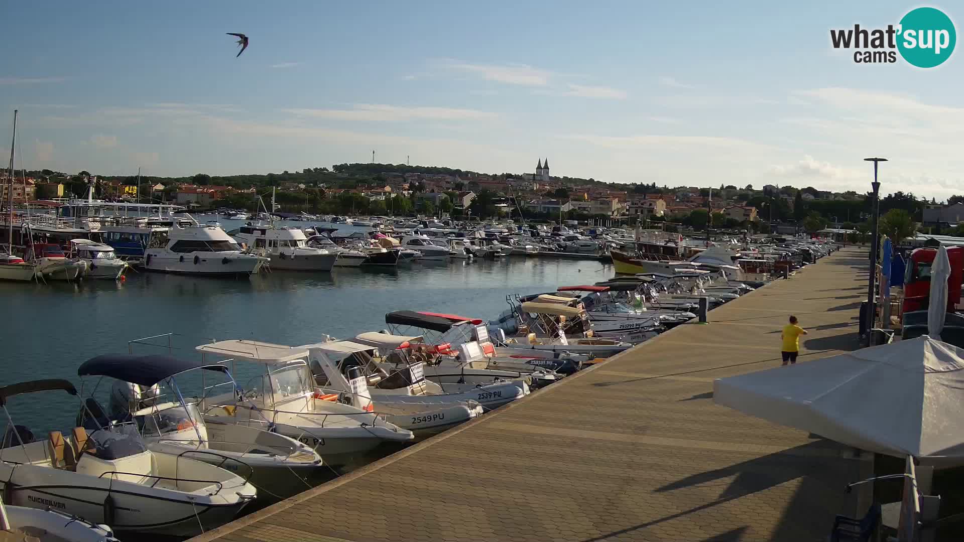 Medulin Live Webcam – Riva