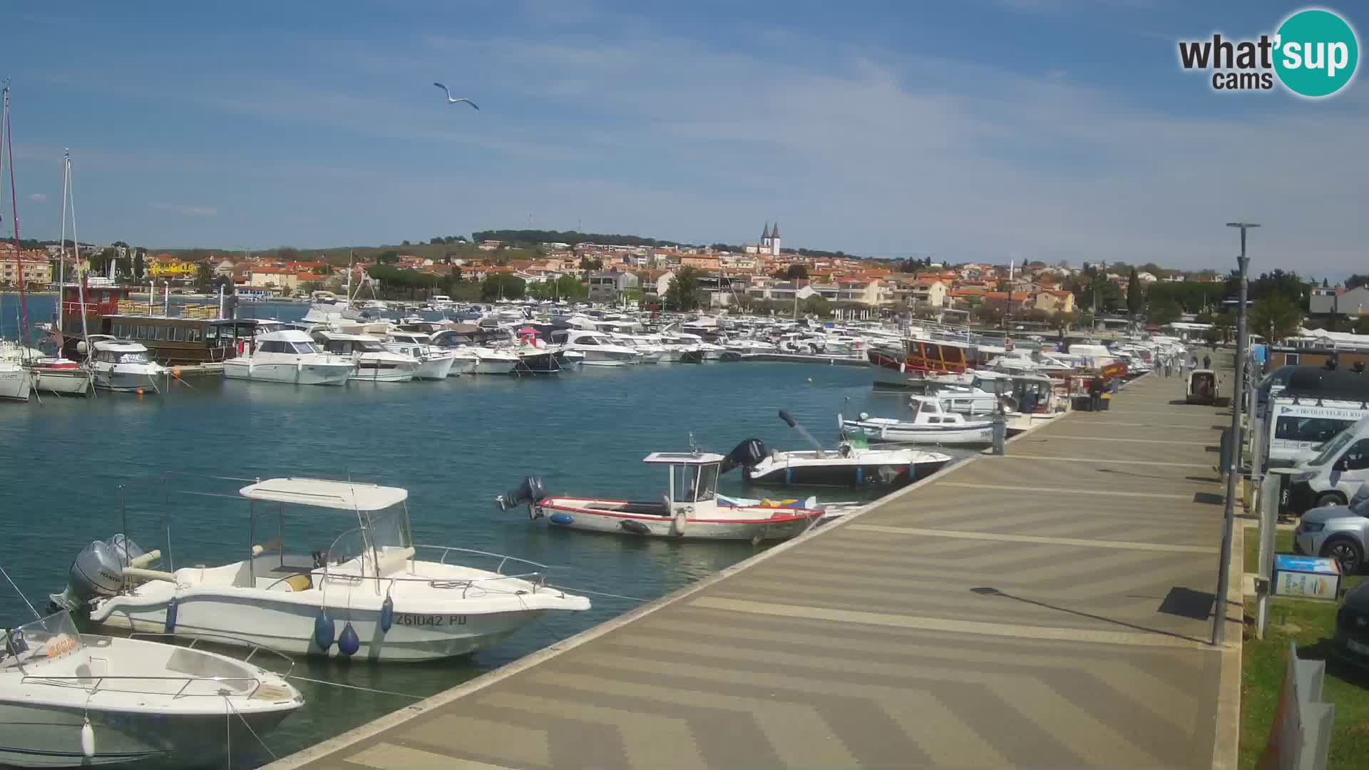 Medulin Live Webcam – Riva