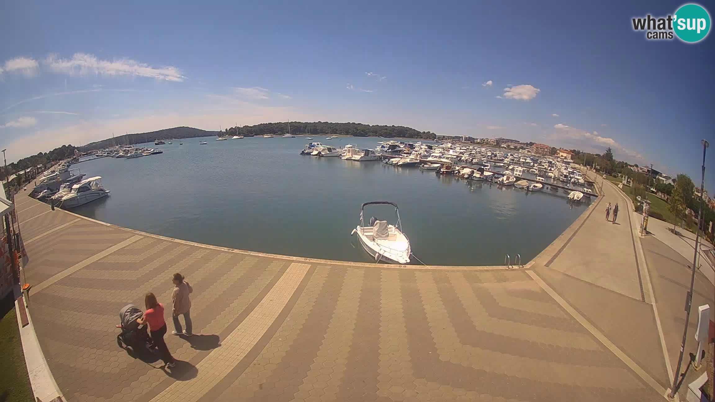 Camera en vivo Medulin marina
