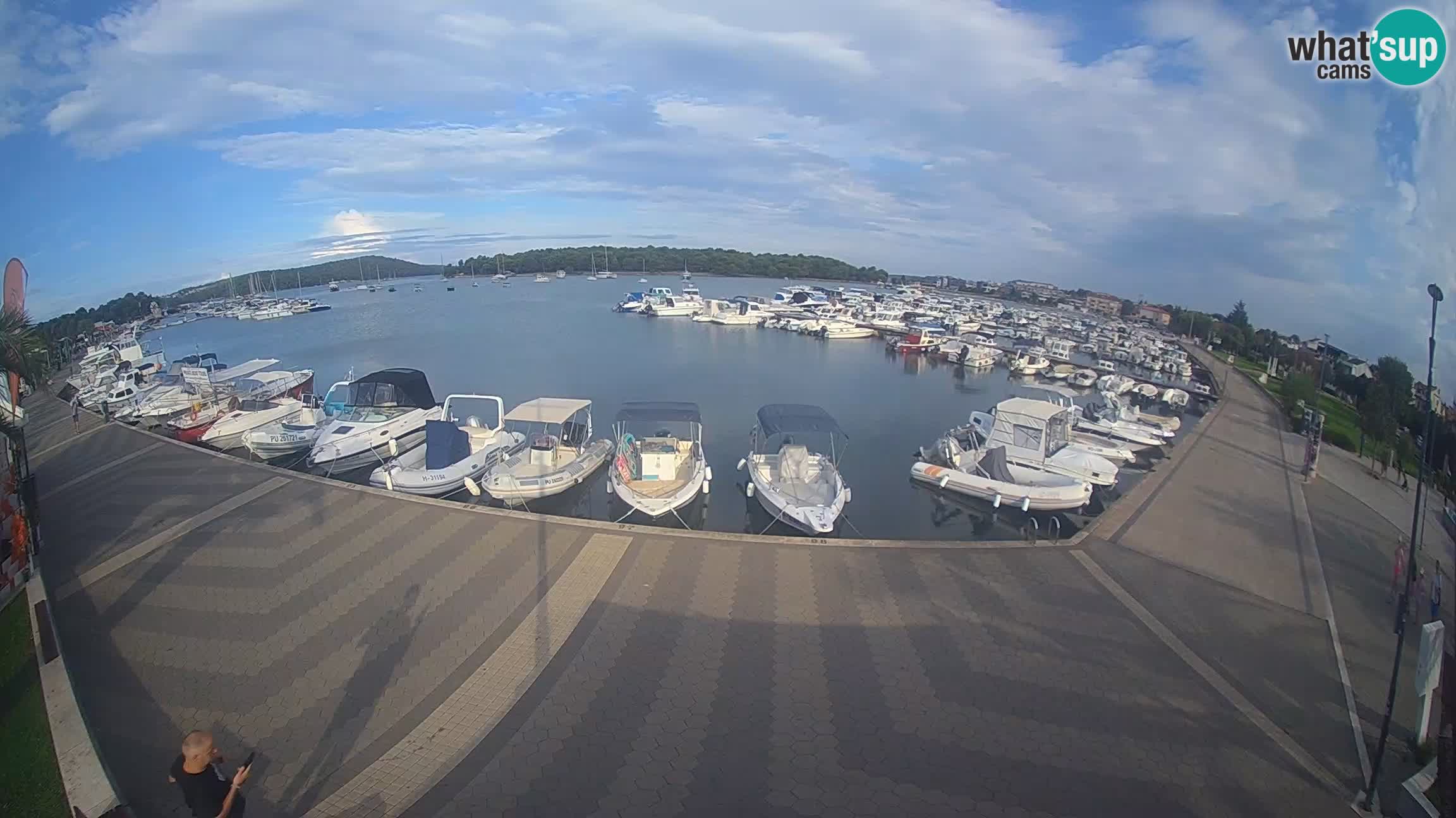 Livecam Medulin marina